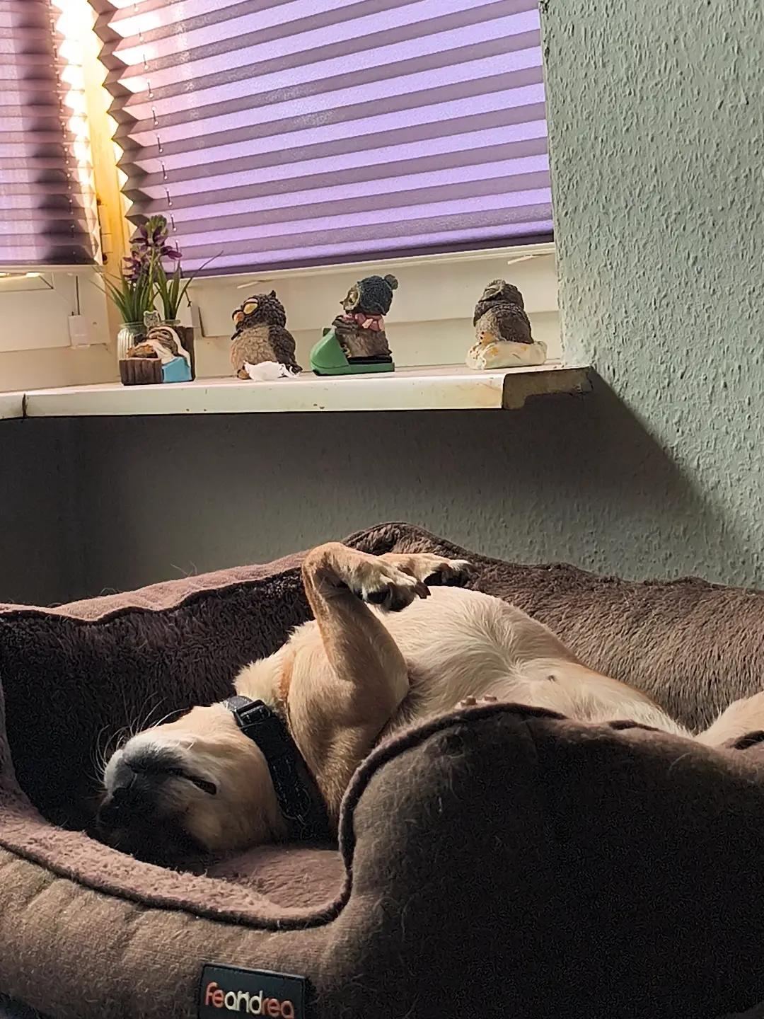 @❤️Kathi❤️Milow🐕❤️