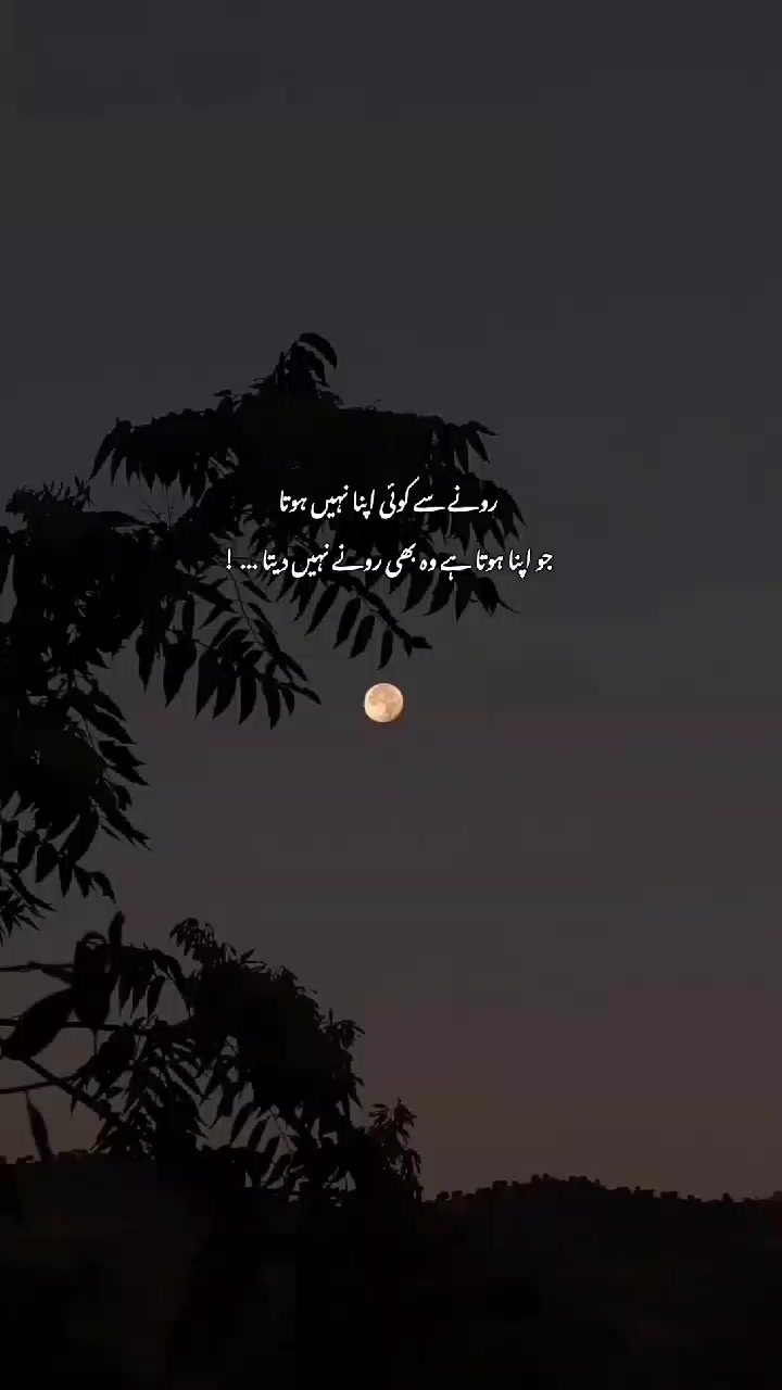 @⋆. 𐙚 ˚𝑺𝒚𝒆𝒅𝒂 ᥫ᭡.ִֶָ𓂃
