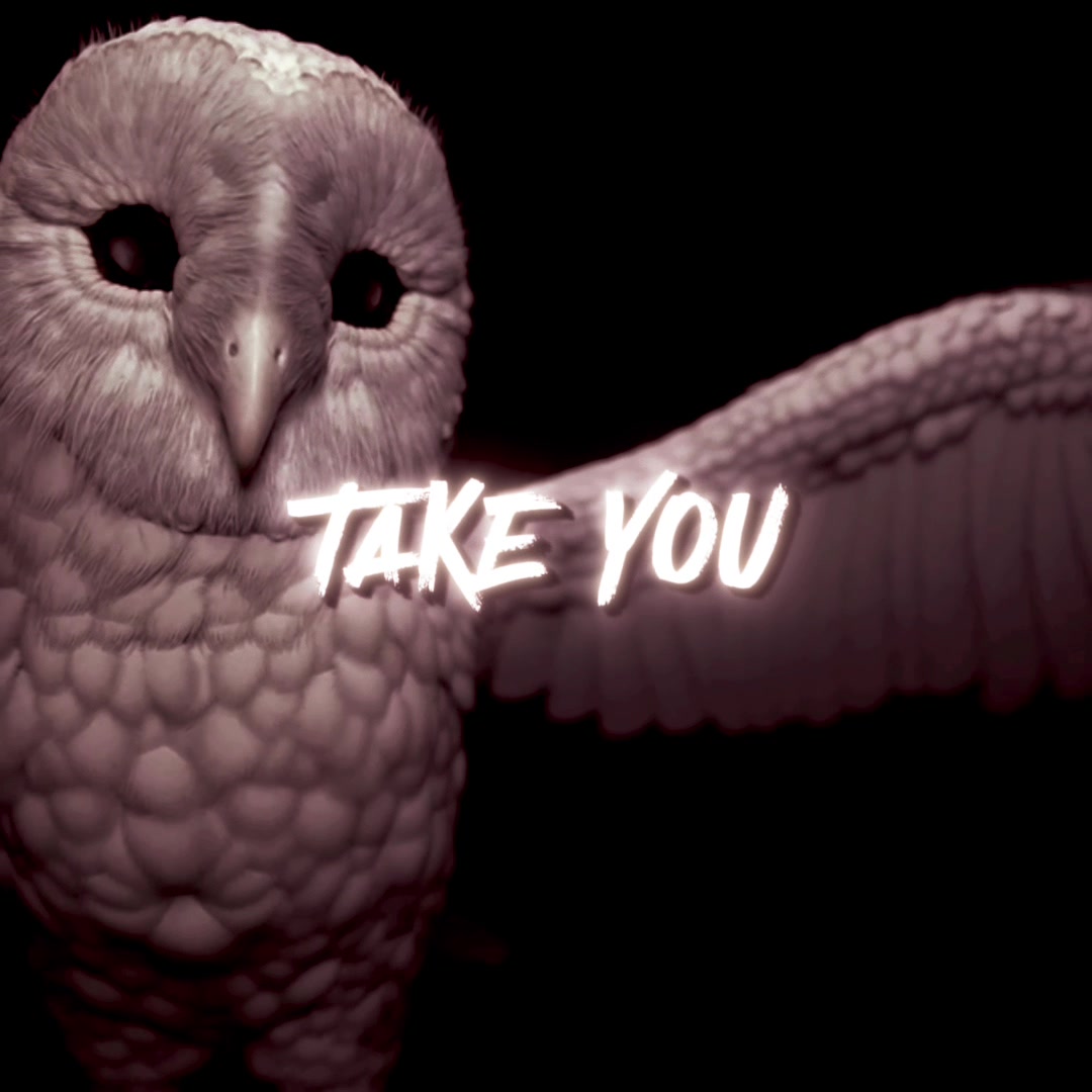 @Deftones Fans