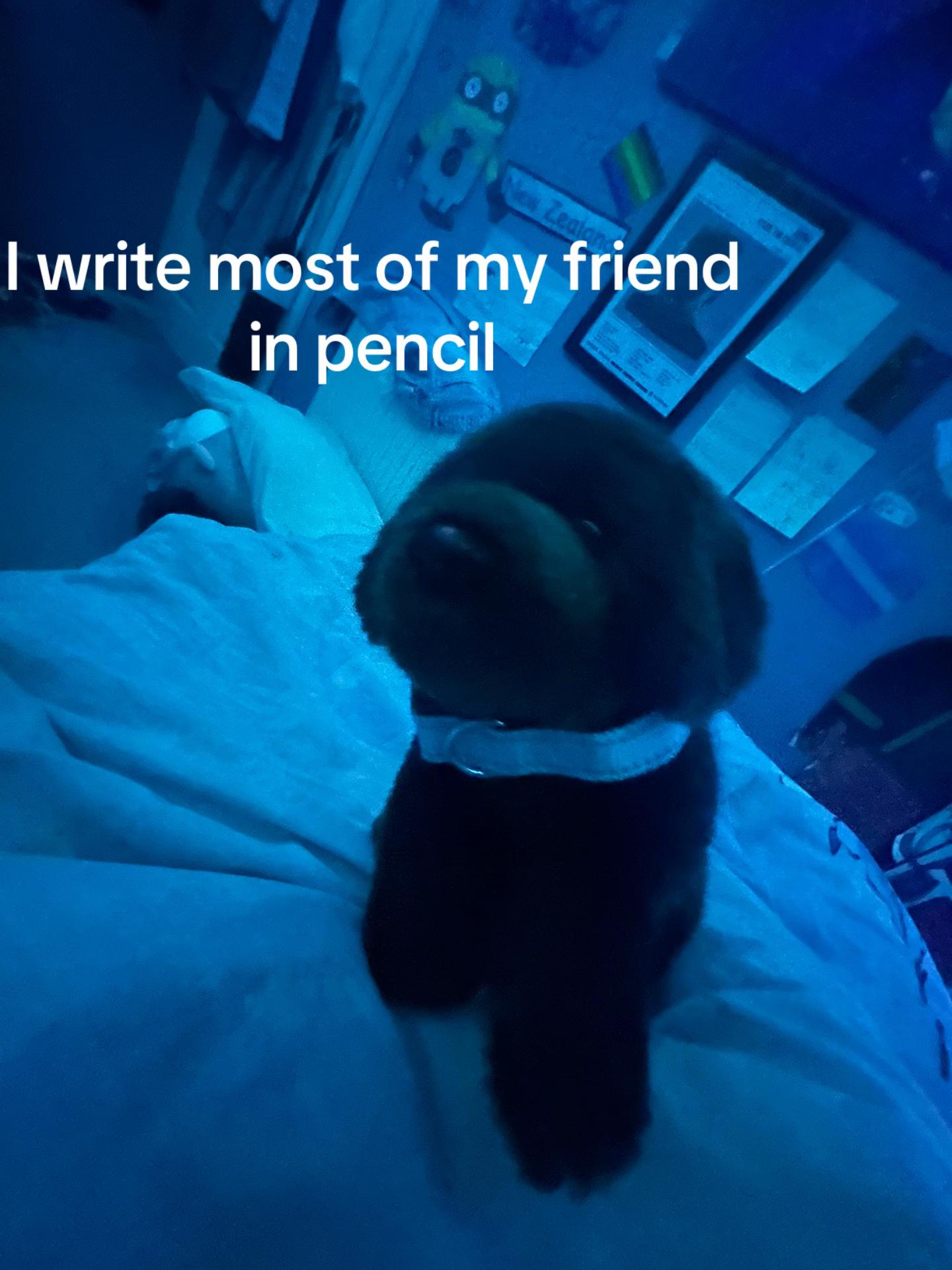 @꒰ ʜᴀʀᴠᴇʏ ꒱୧