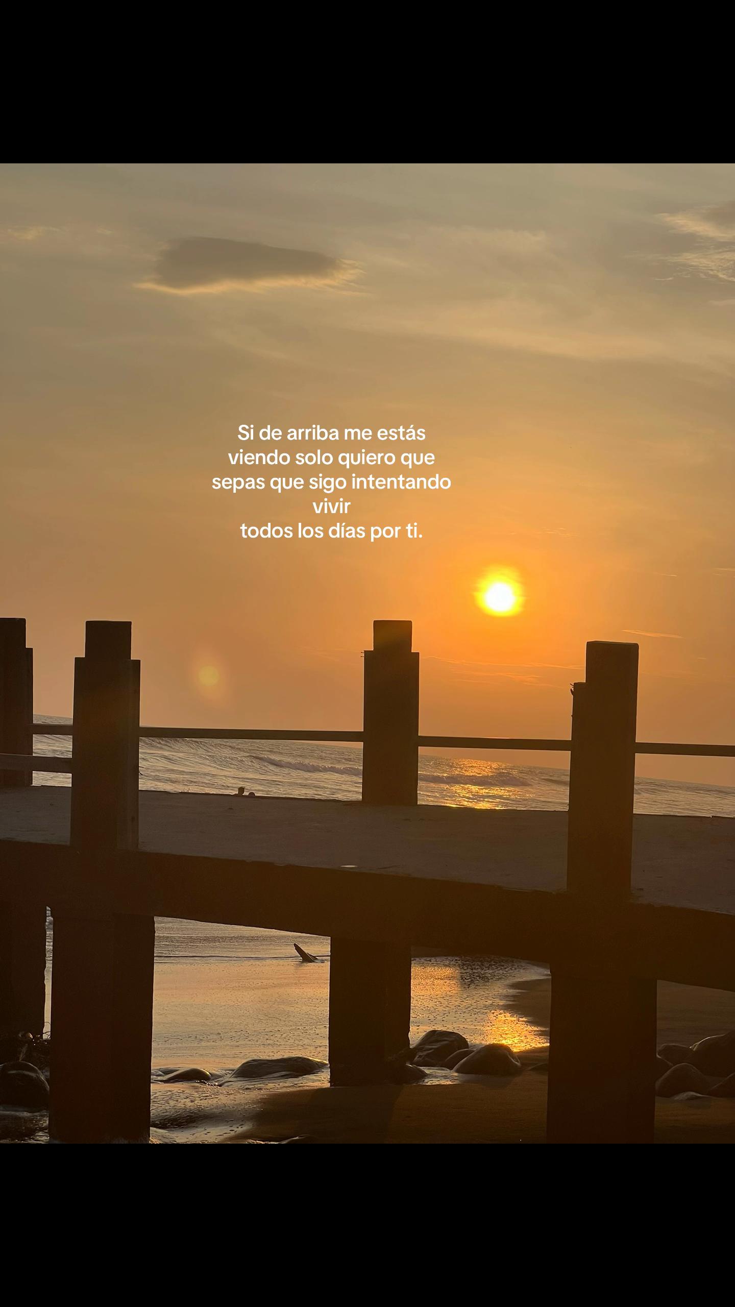 @Tanii♡
