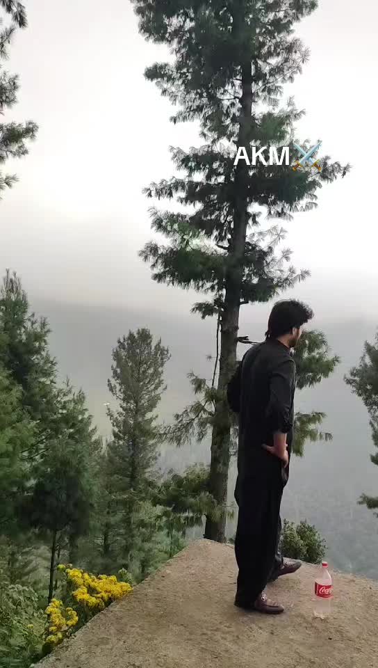 @『мR』SHAH SAAB