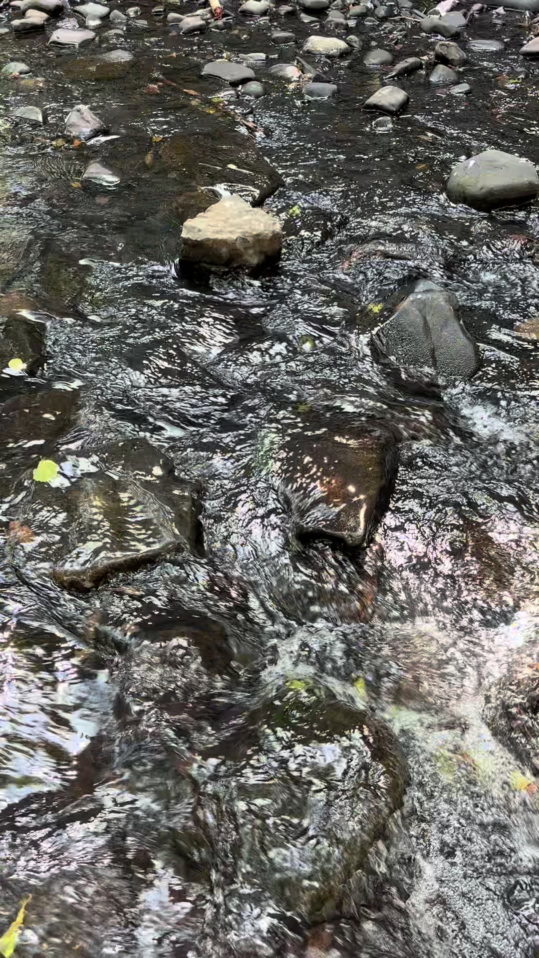 @a