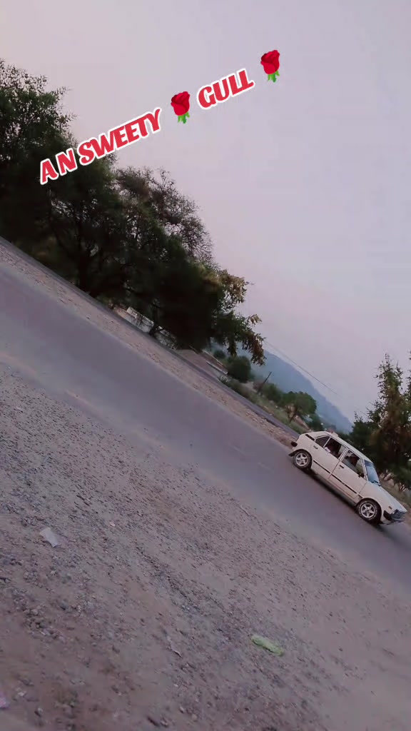 @A❤️N SWEETY 💕 GULL