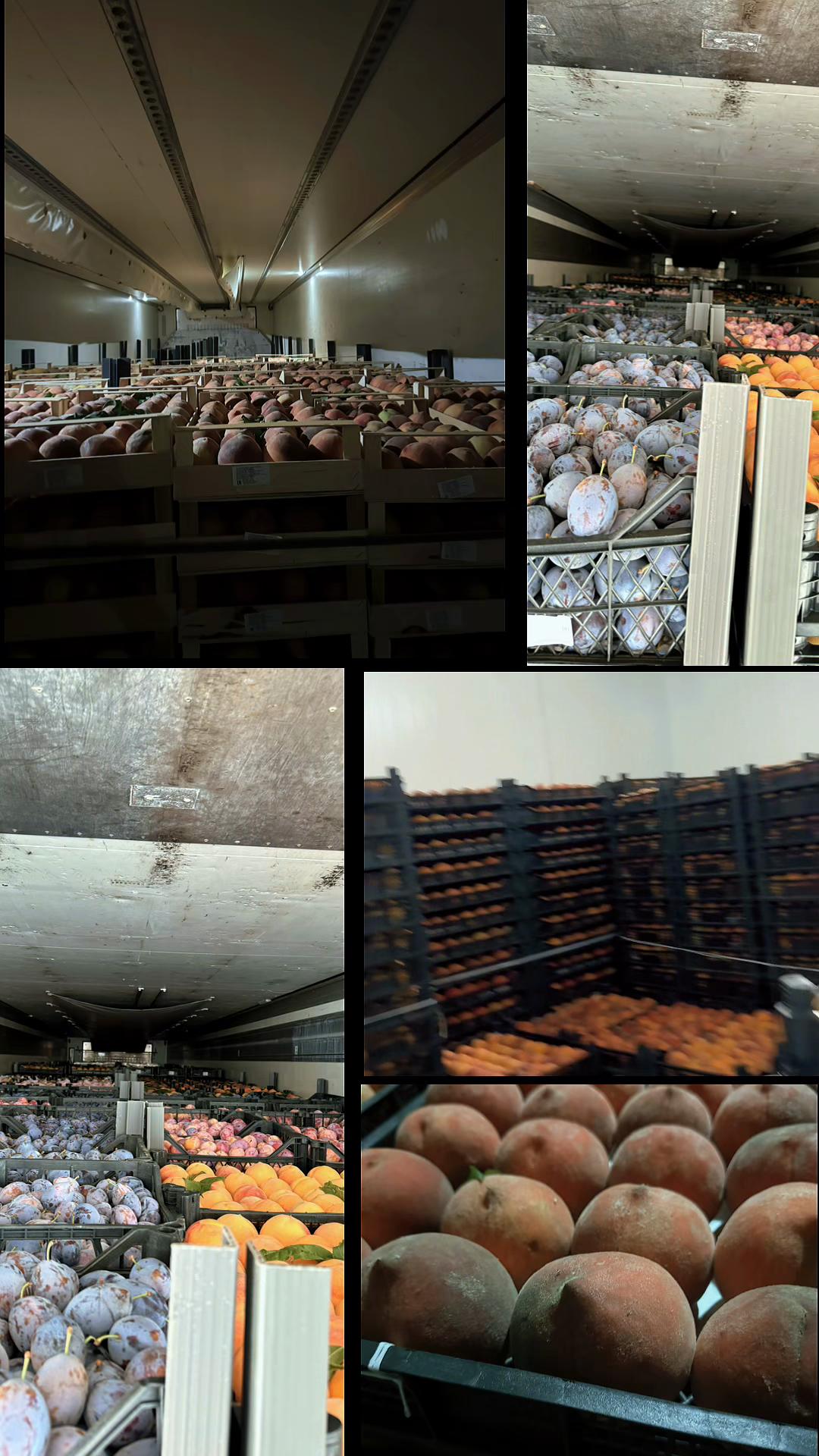 @pallet pack & load