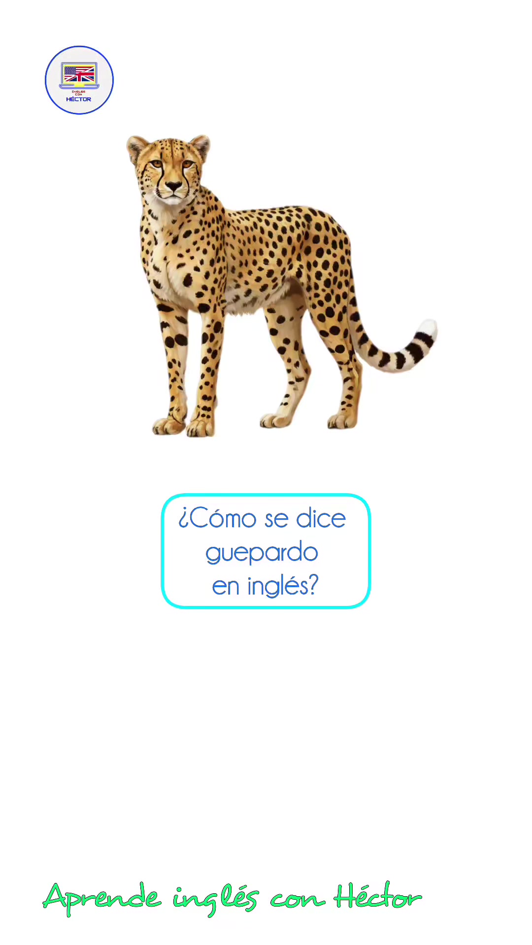 @Aprende ingl&eacute;s con H&eacute;ctor