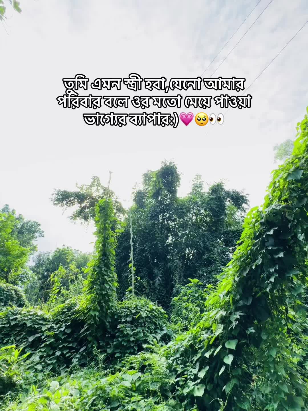 @🌝𝙎𝙊𝙐𝙍𝘼𝙑🌝
