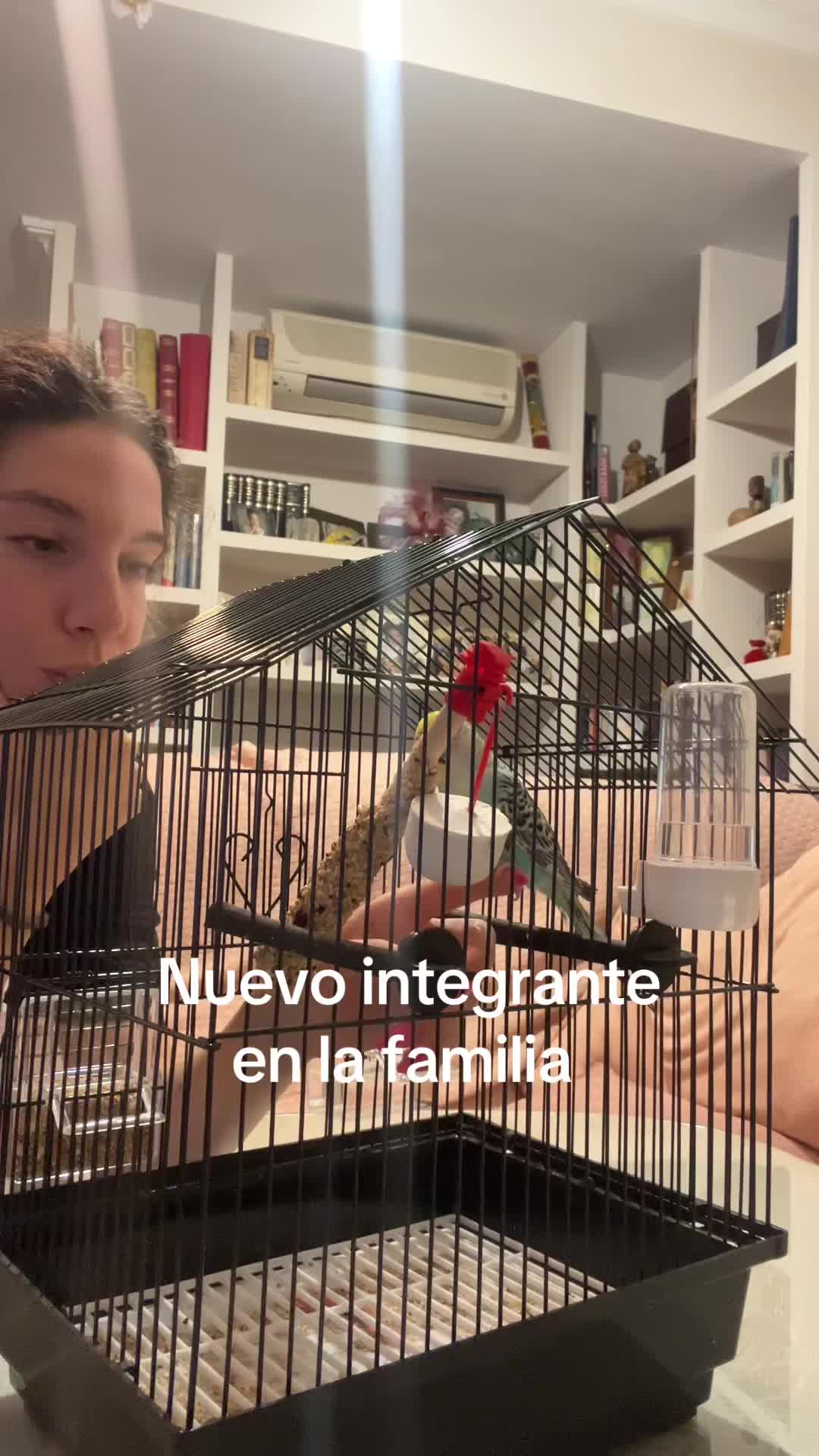 @carmenn