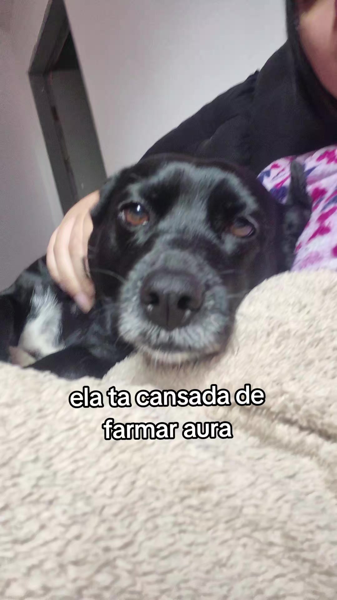 @Baueny Barroco
