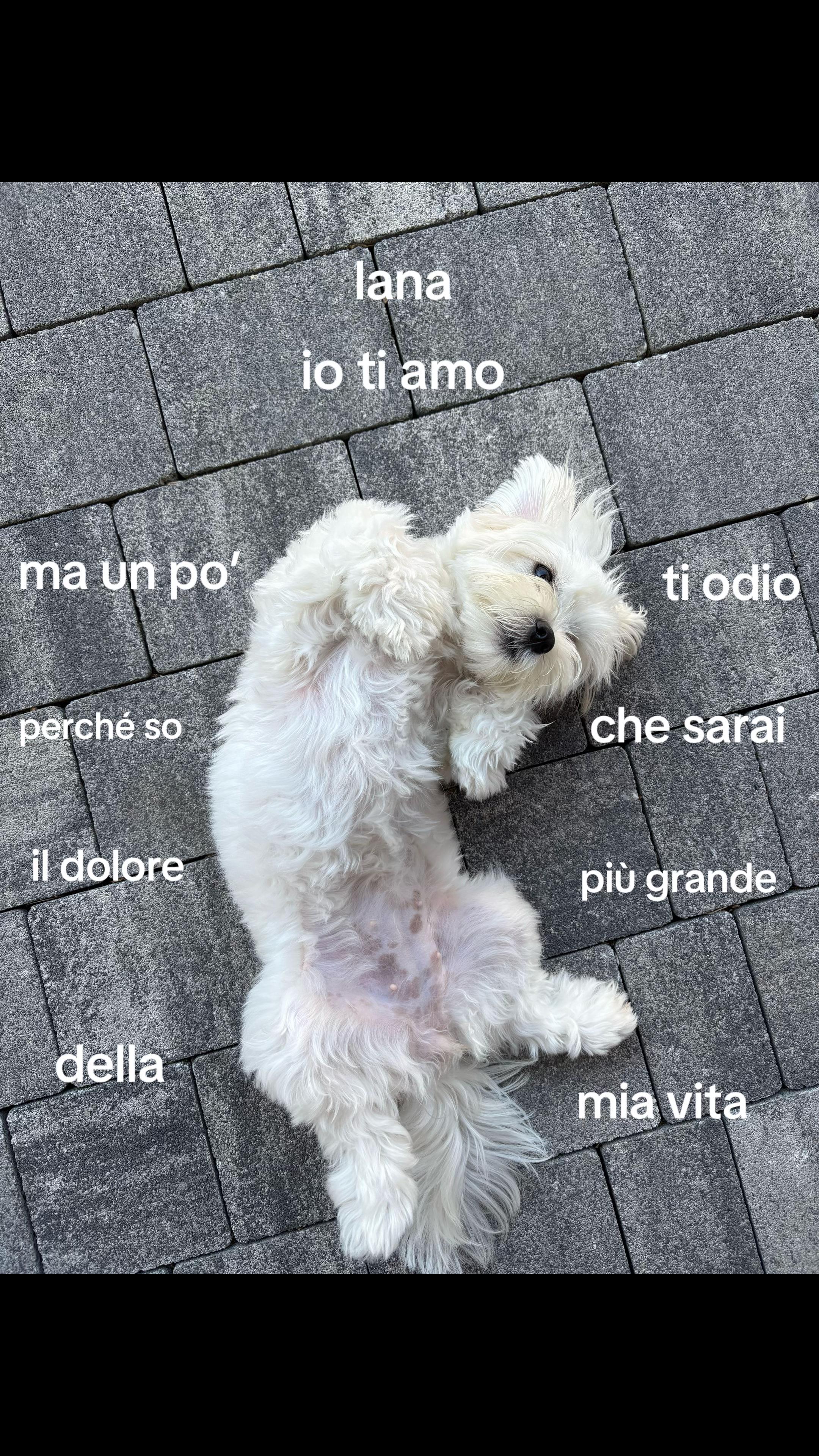 @lu.morra