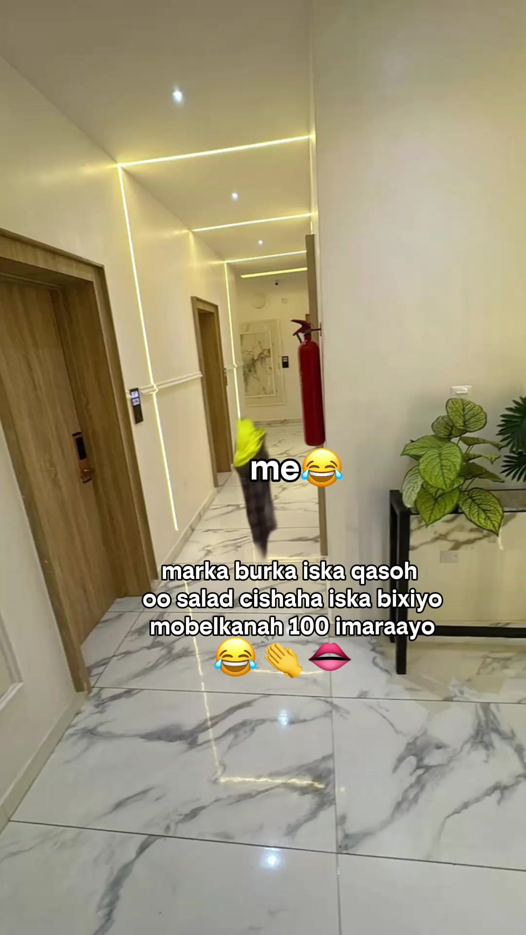 @qalpi ๐โก