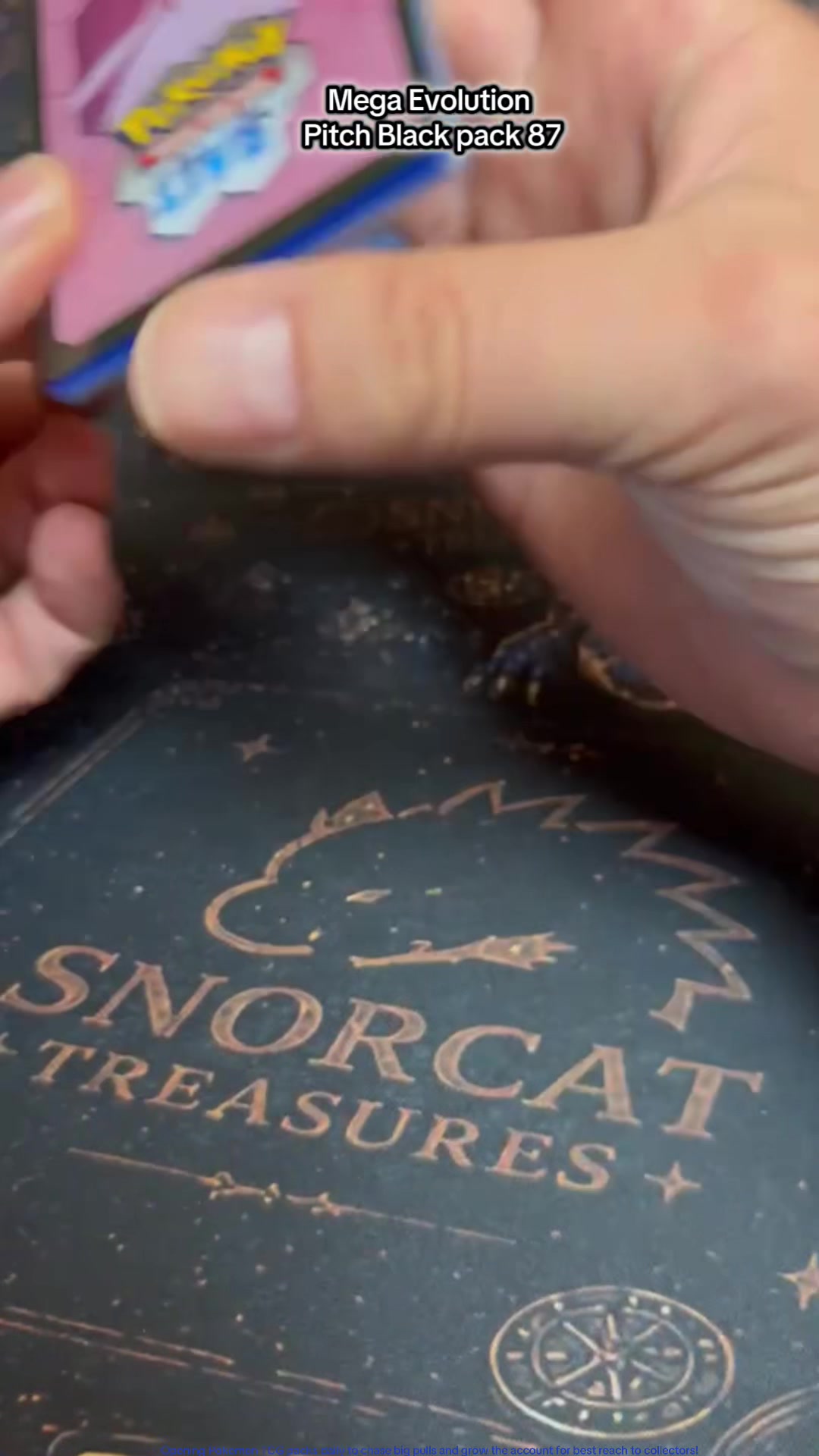 @Snorcat