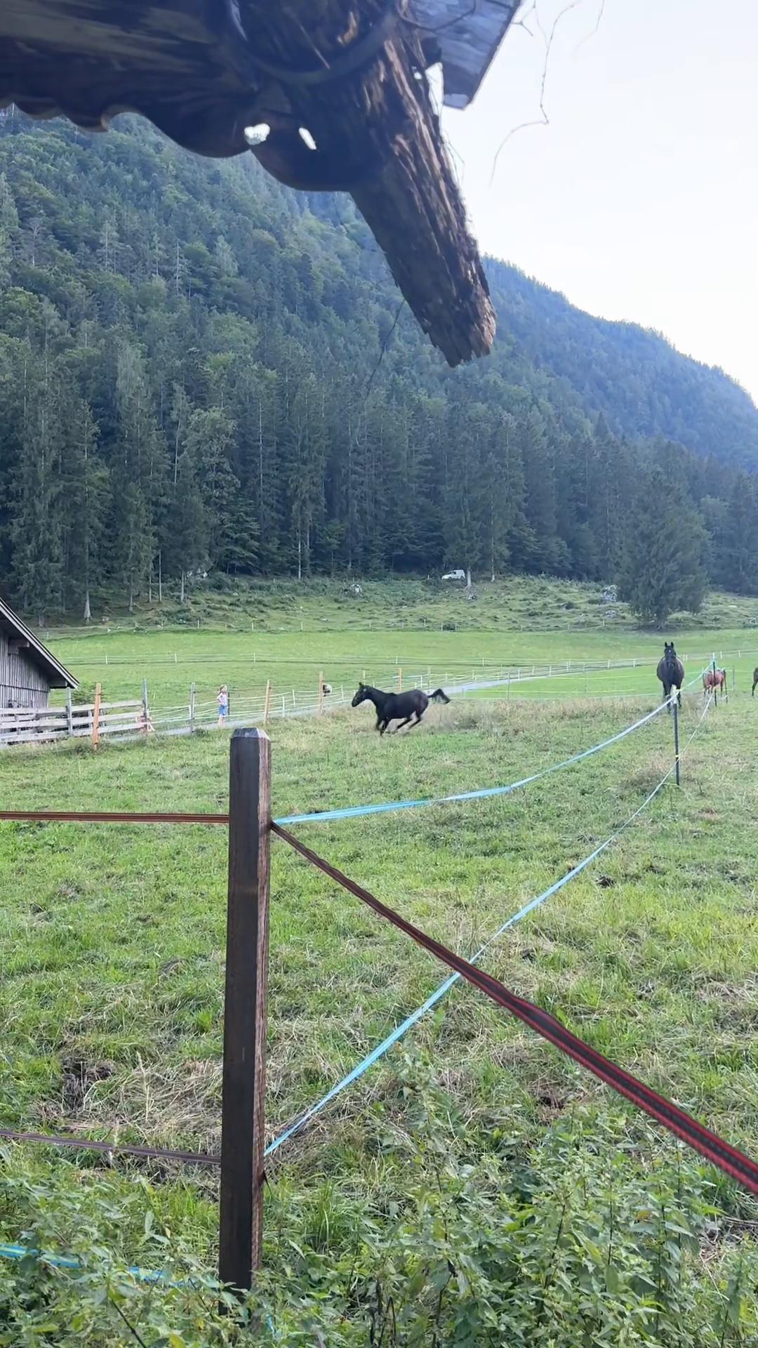 @Mountain Hill Ranch 🇦🇹