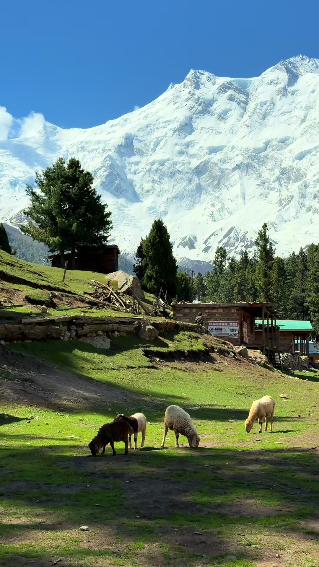 @Vista_Skardu