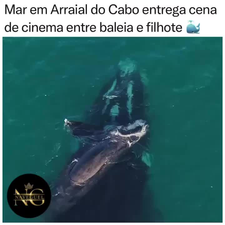 @NAVEGUEI