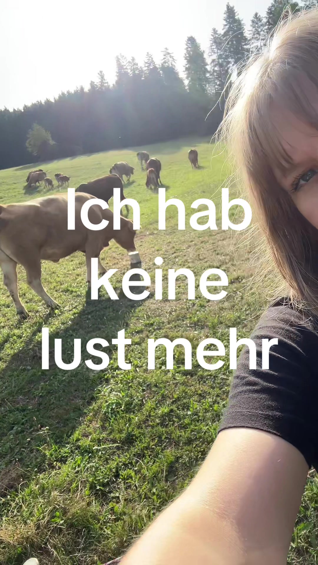@luzie