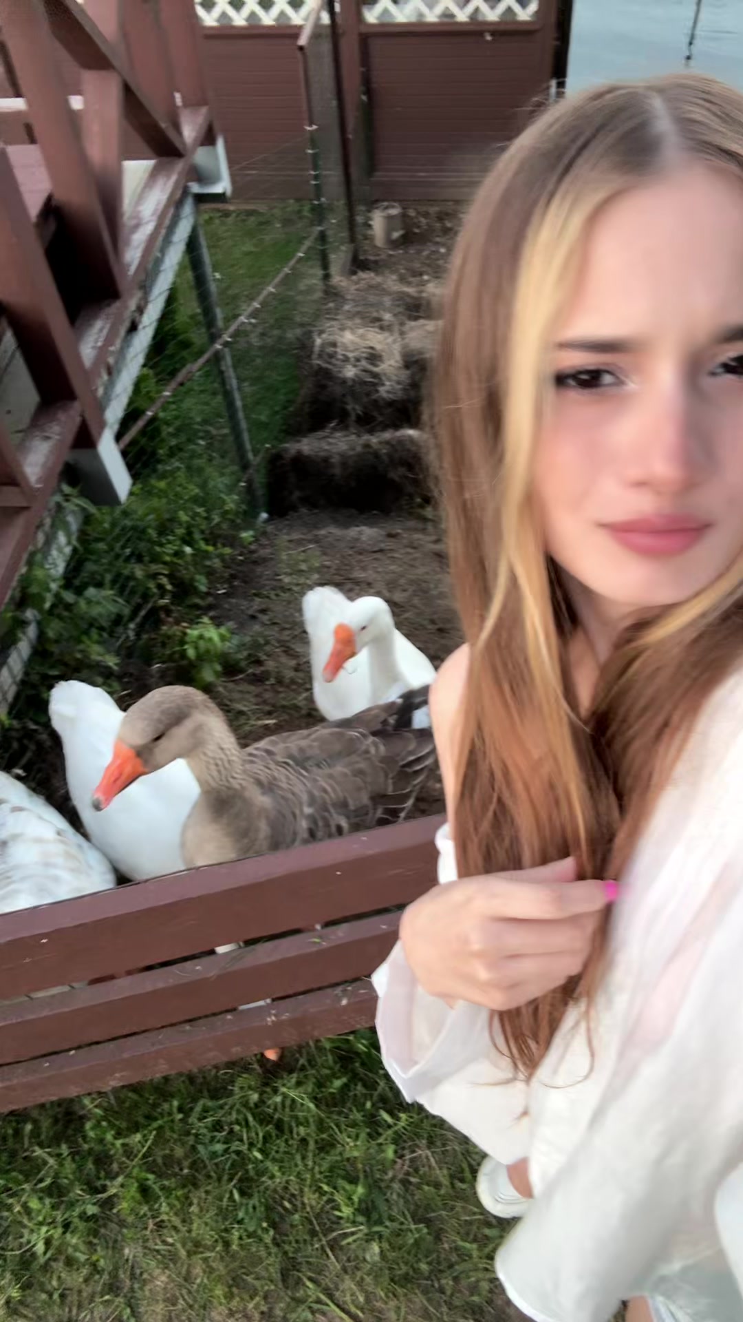 @мышка киви