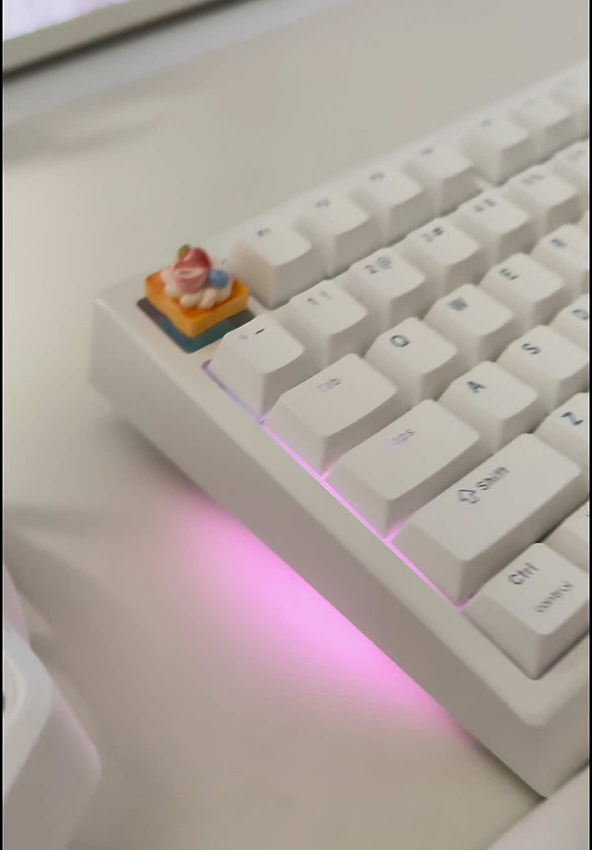 @vee ꨄ