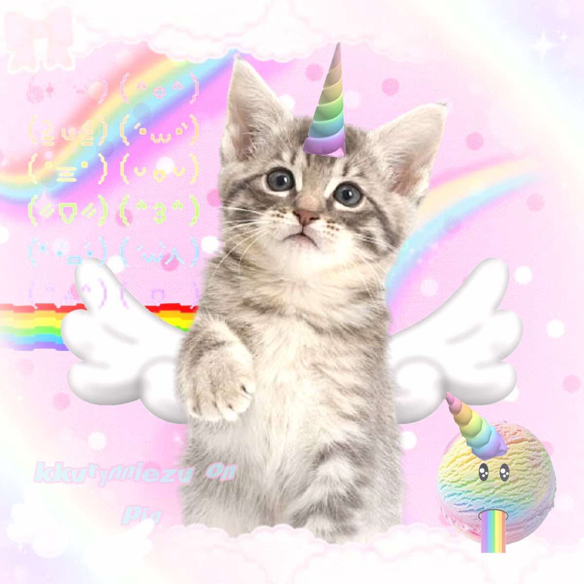 @raine ♡&rsquo;s mizi