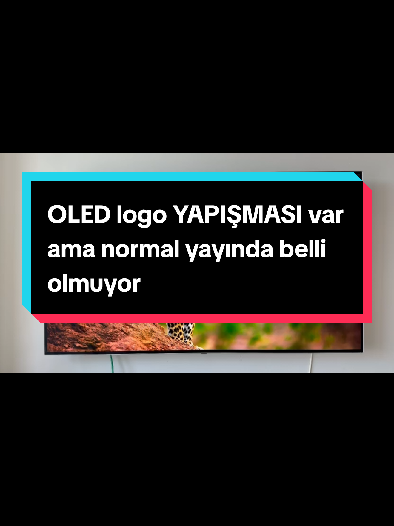 @aktuelbilgi