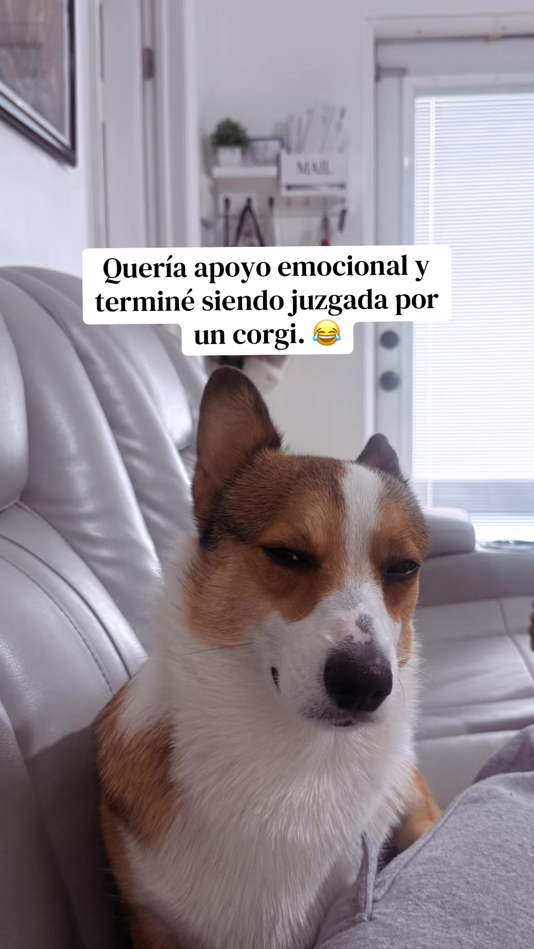 @Melissa Roldan