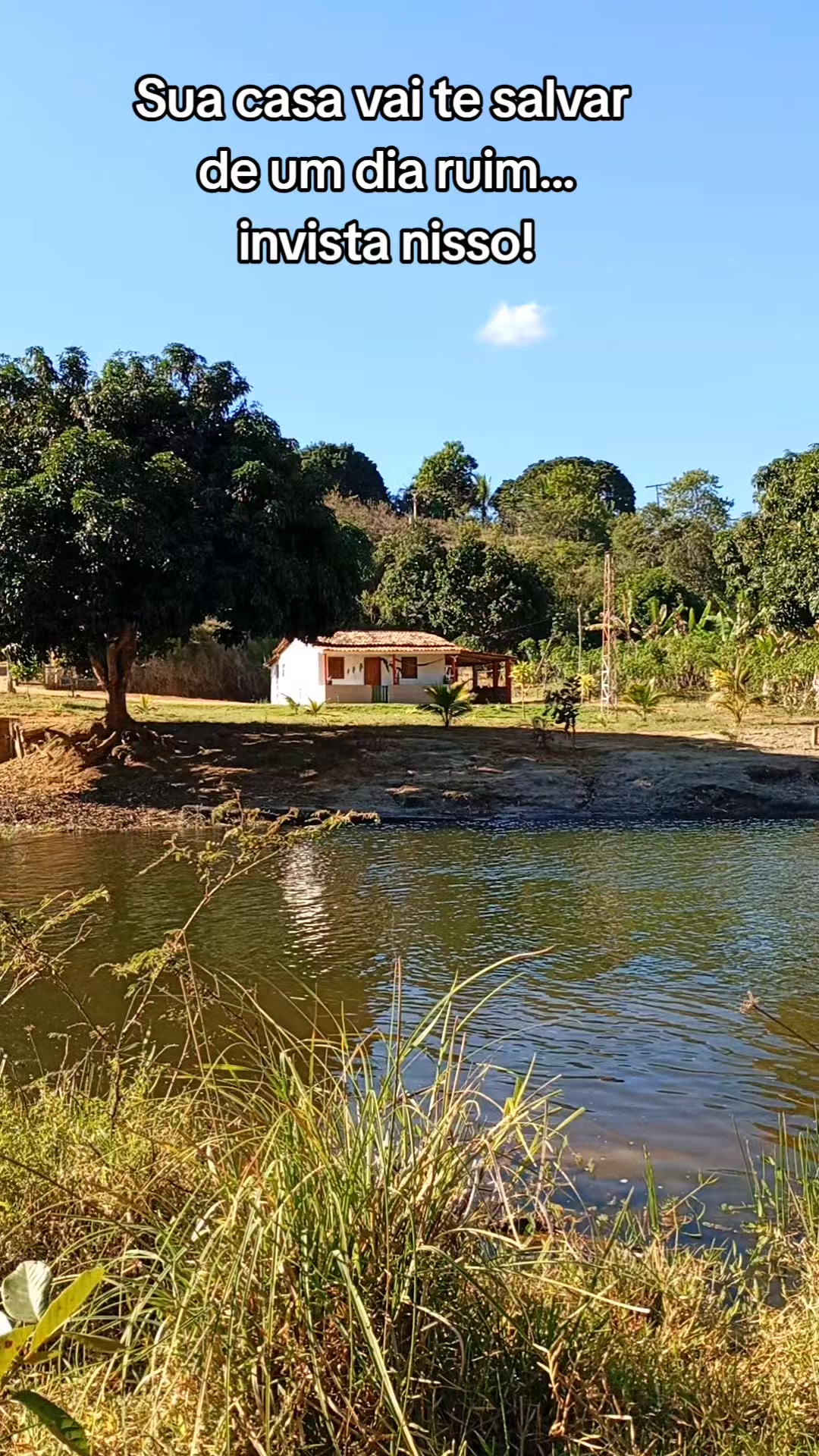 @Ro&ccedil;a 🤠🌱