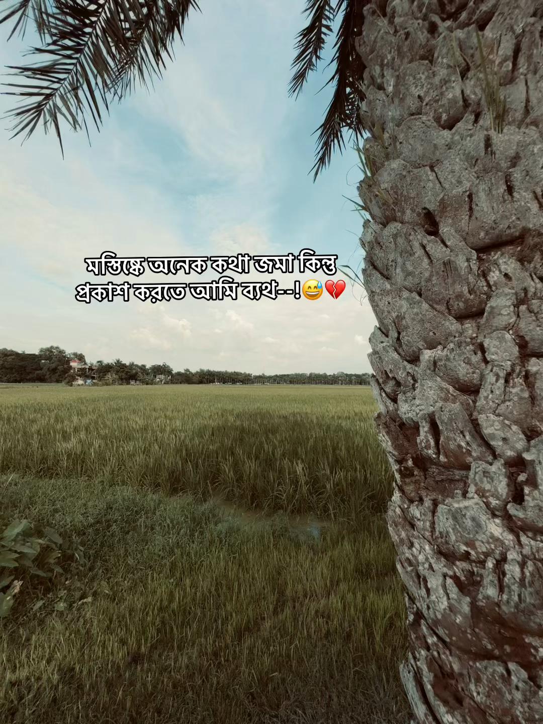 @🌝𝙎𝙊𝙐𝙍𝘼𝙑🌝