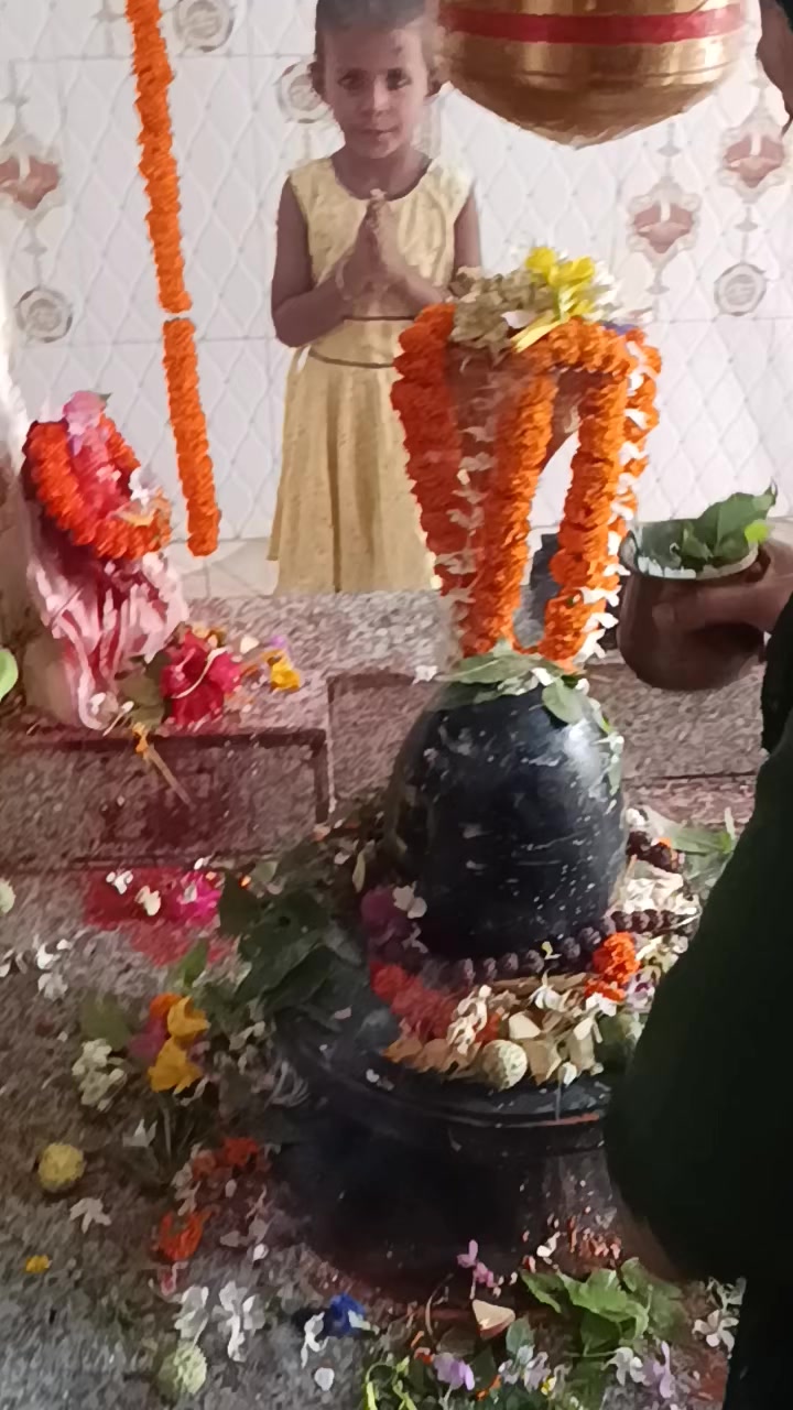 @anjalimishar