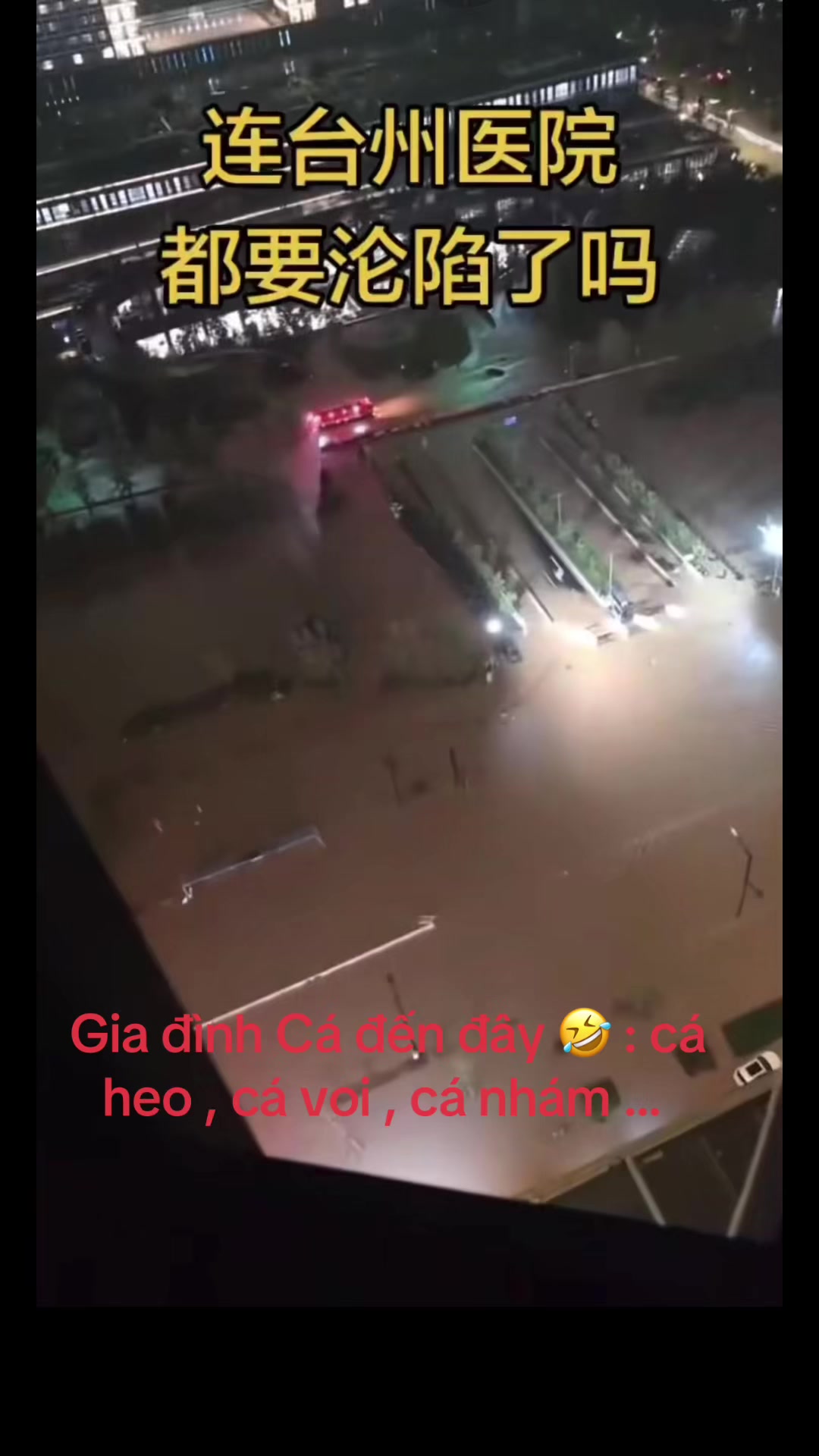 @mecury383