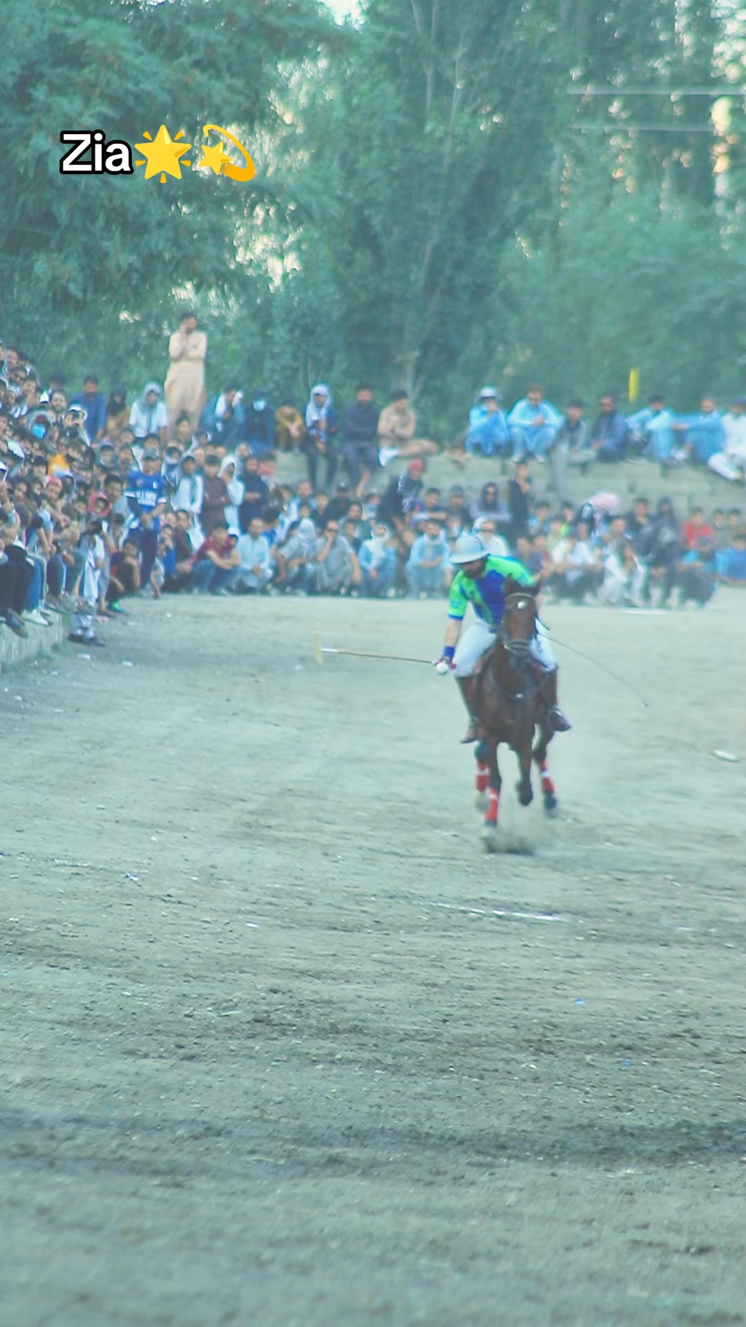 @️POLO ARCHIVE 👀🐴