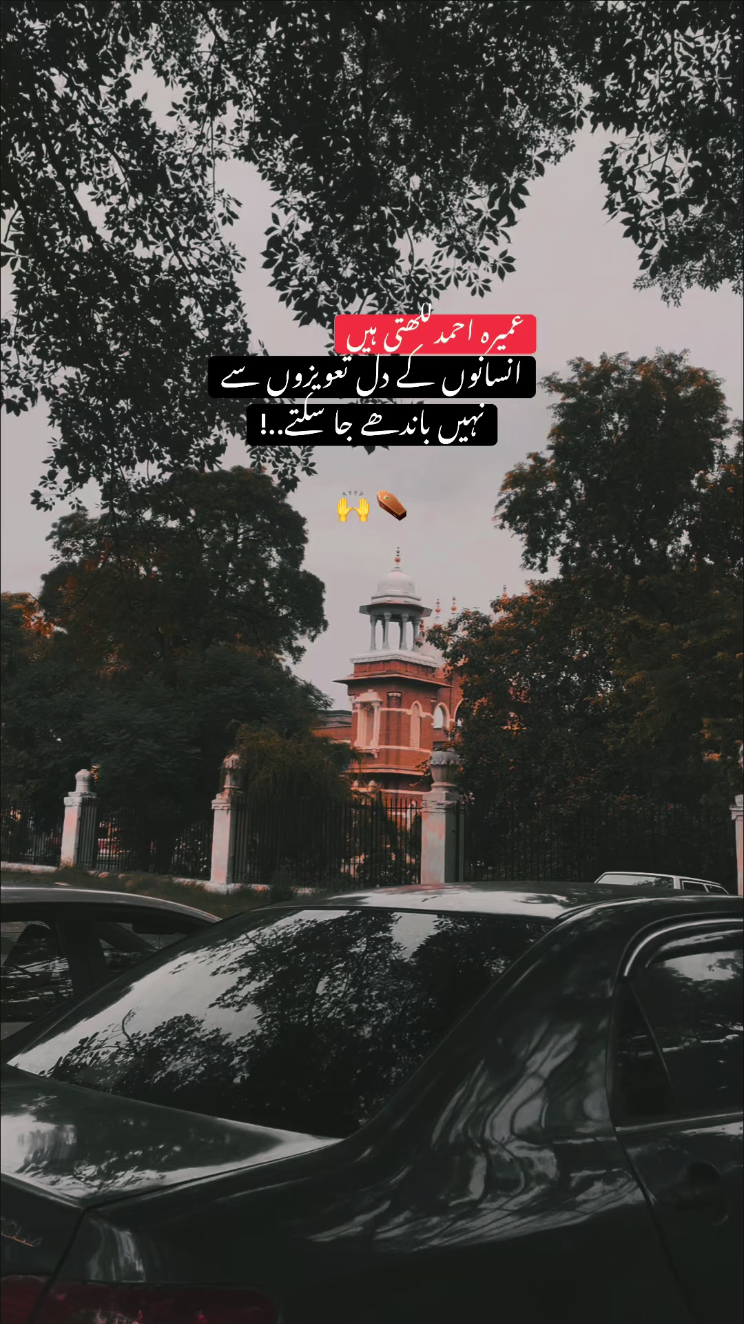 @Jaواd 🚩