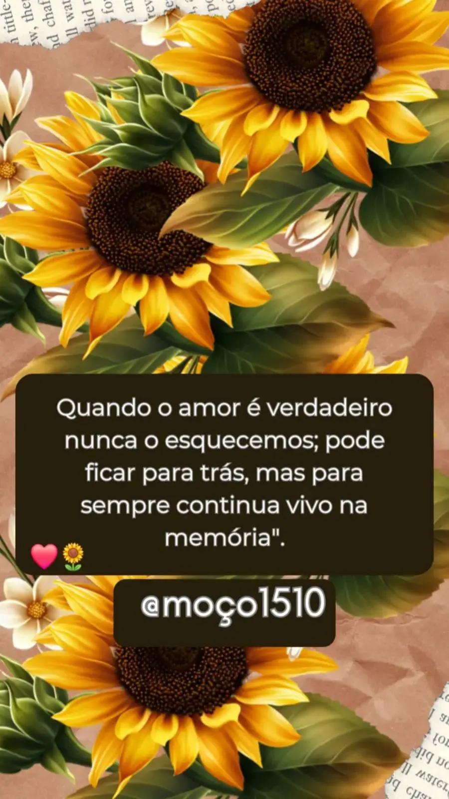 @mo&ccedil;o1510