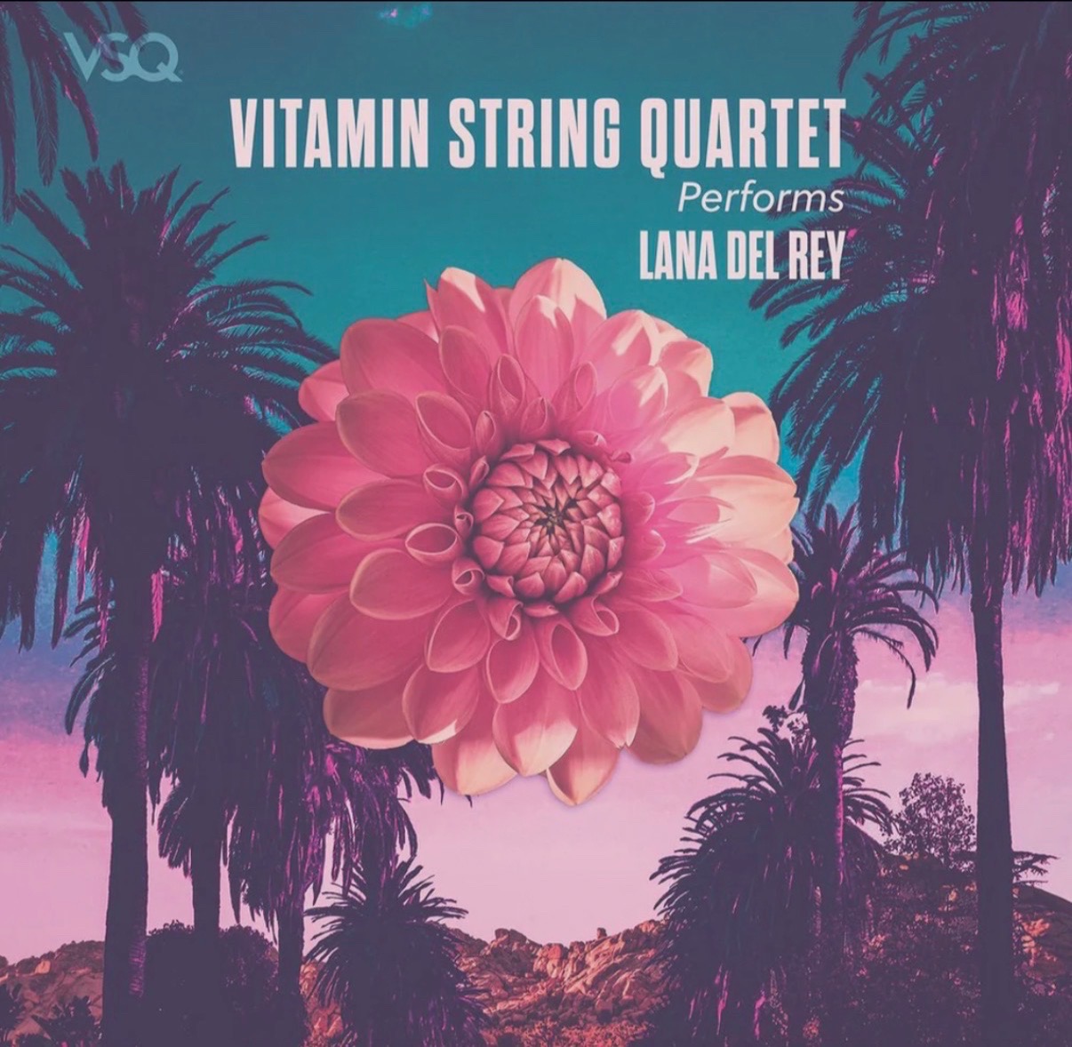 @vitaminstringquartet