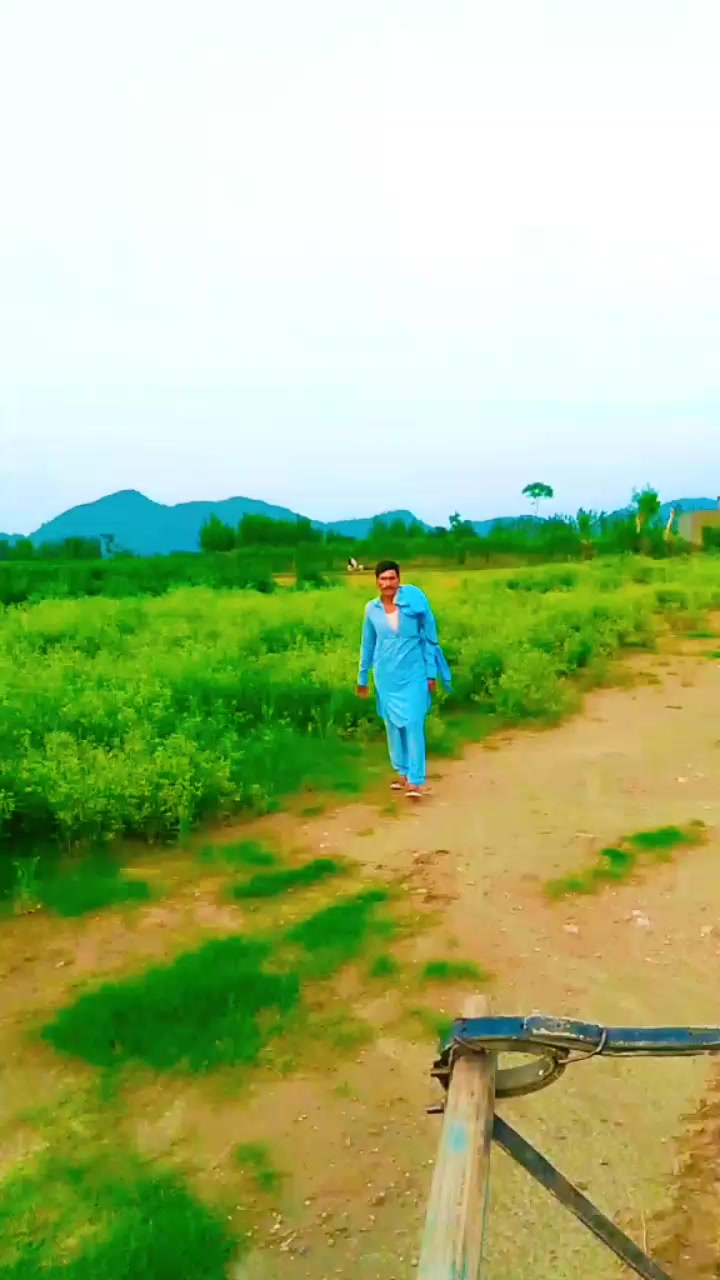 @Naseeb Gul.SWABI BAJA804