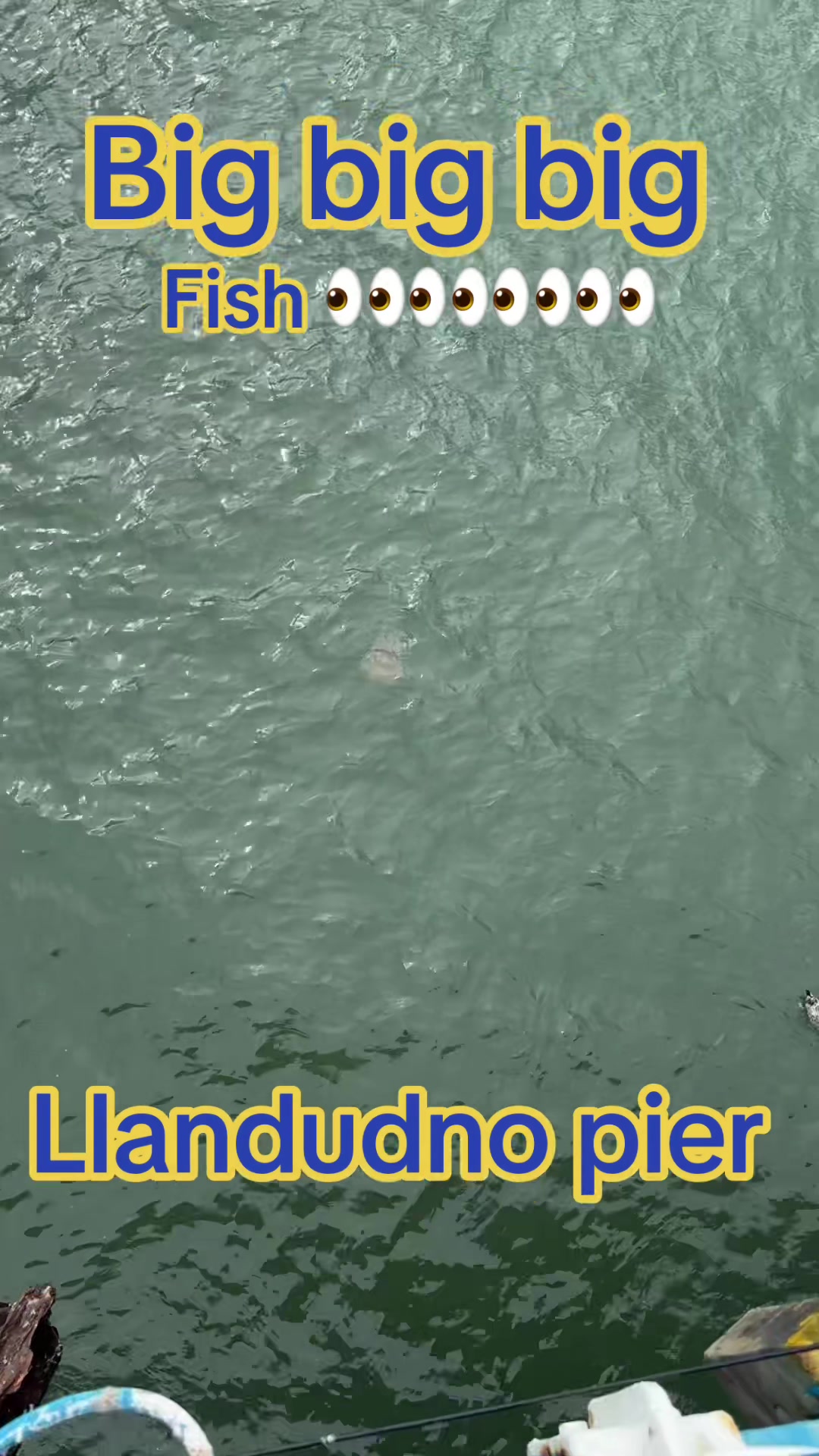 @𝕊𝕥𝕖𝕧𝕖𝕟&rsquo;𝕤🌍𝕊𝕥𝕠𝕣𝕪💚