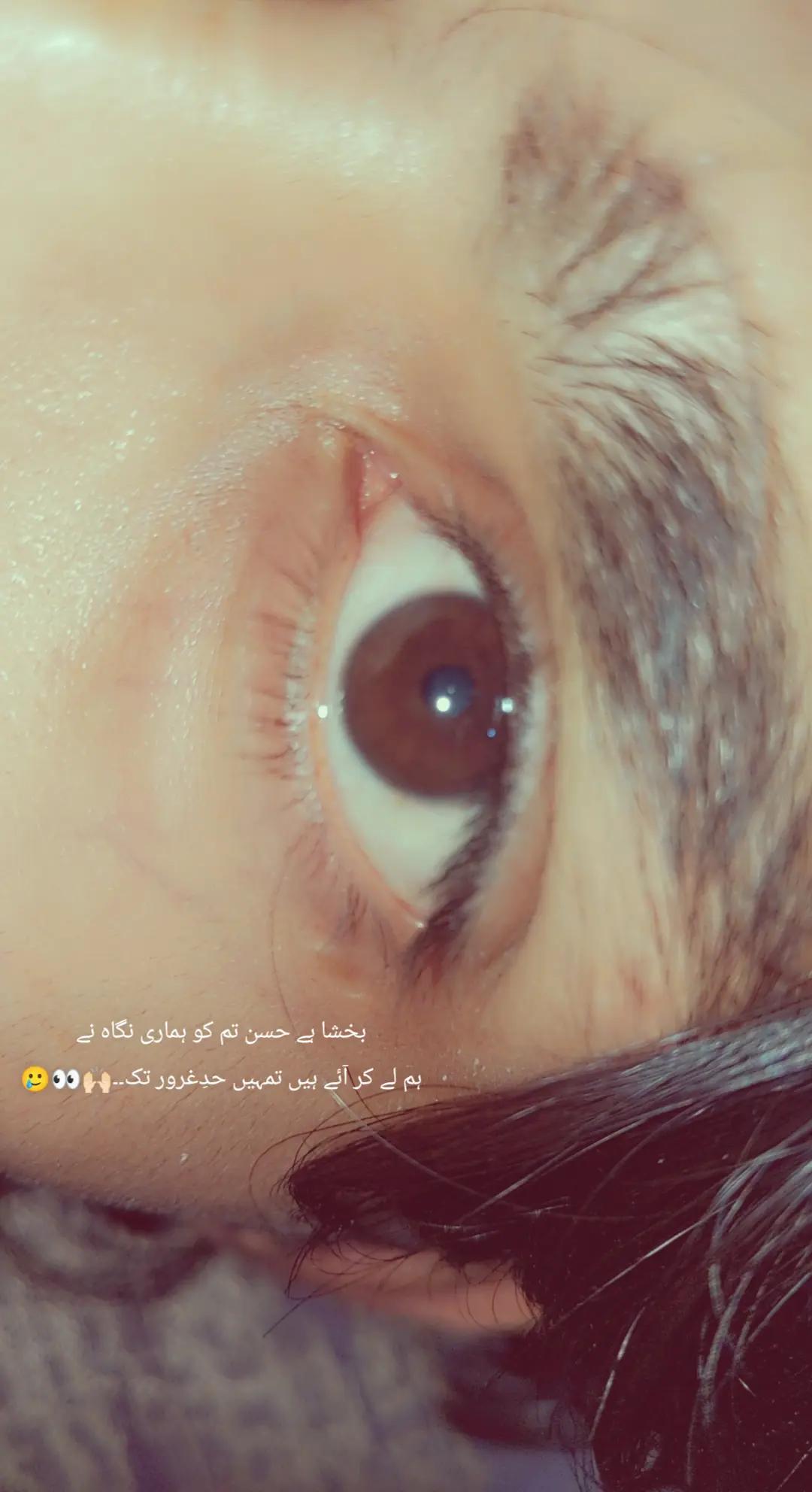 @zaii