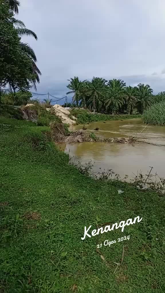 @Toman_Rimba_ll