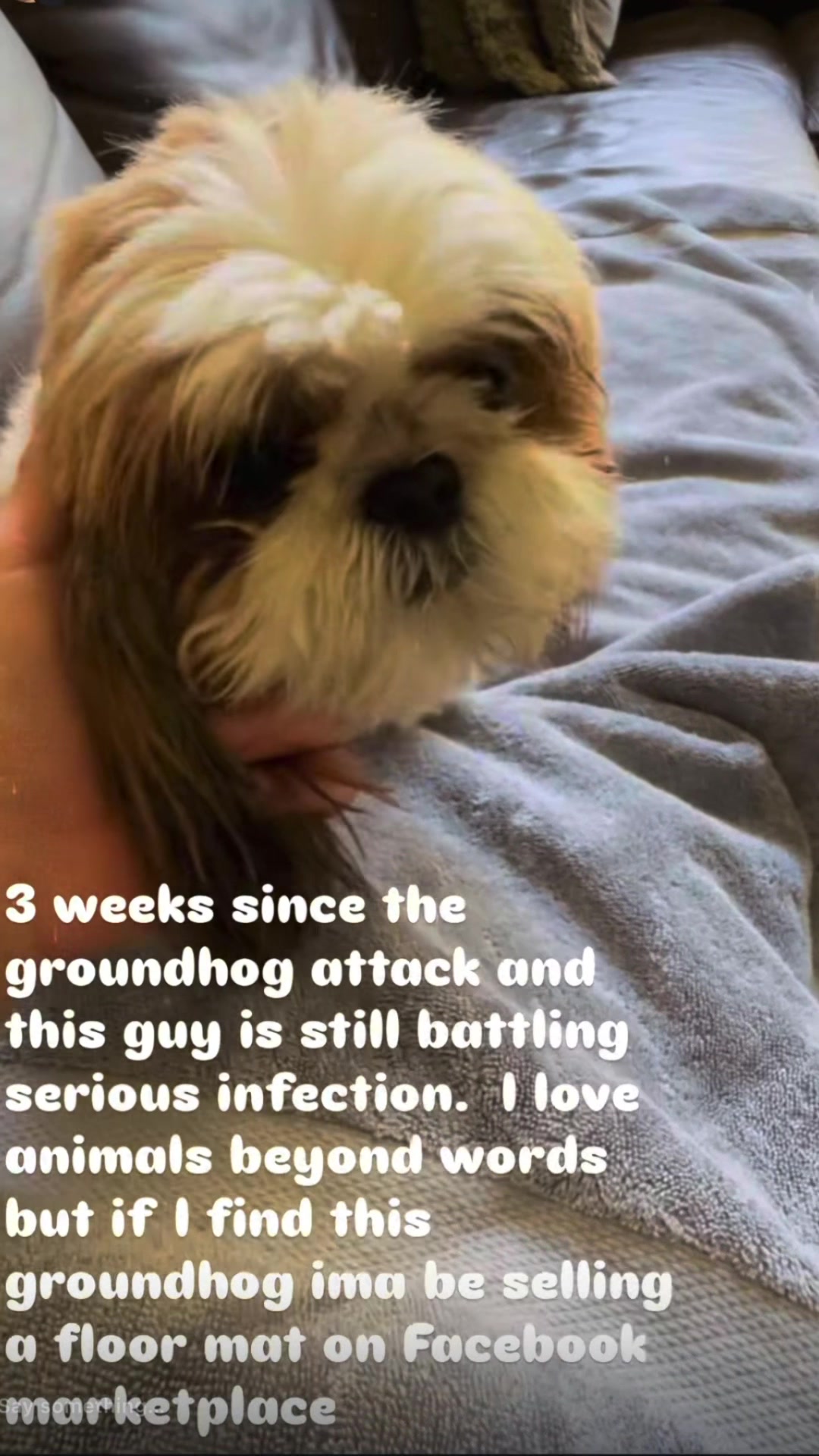 @Rosenzweigmusic