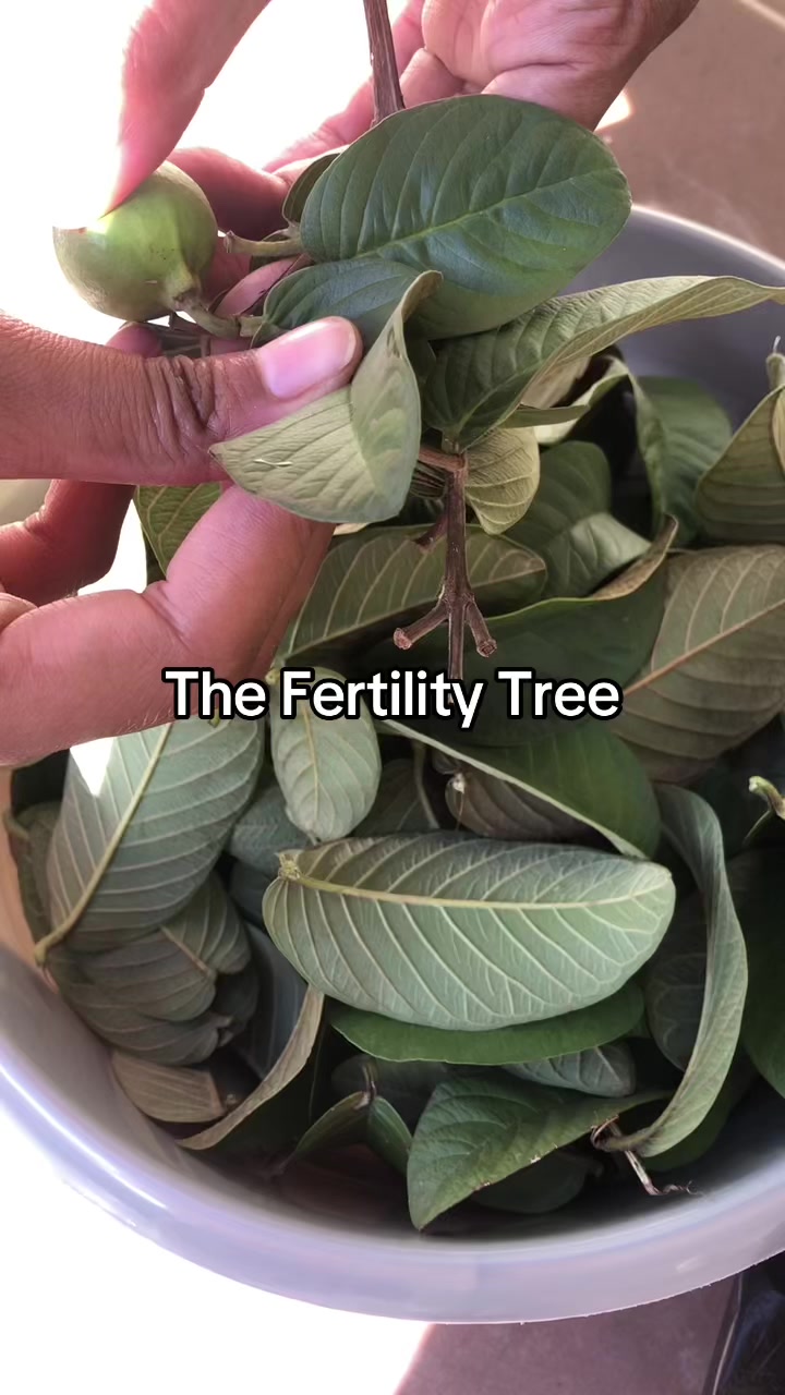 @Miracle Mama|Feminine Wellness
