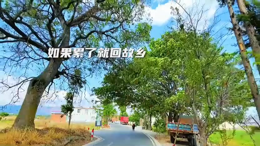 @ᰔᩚ᭄ℛ潇洒走一回꧔ꦿᩚ࿐🕊