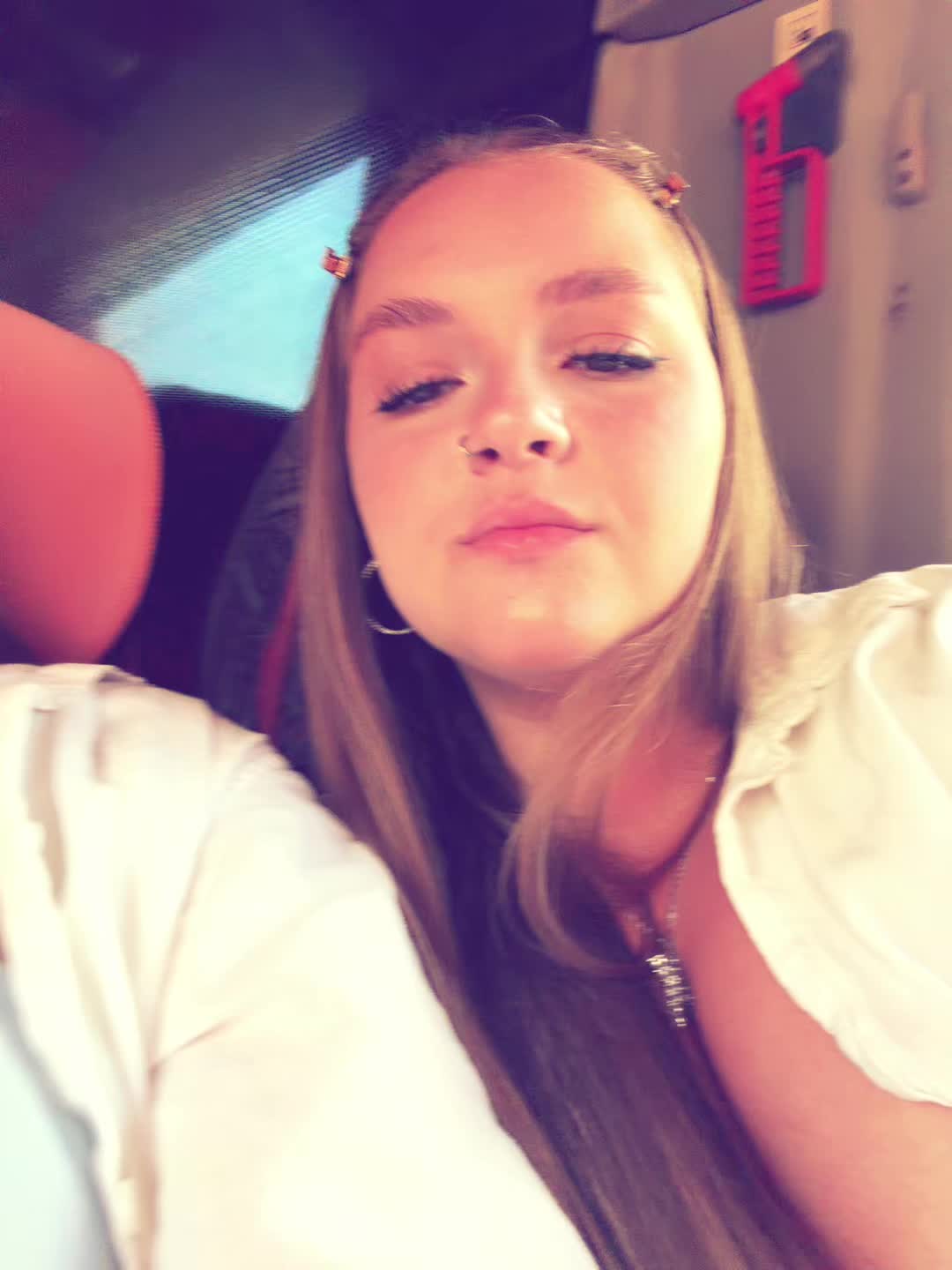 @hamsters