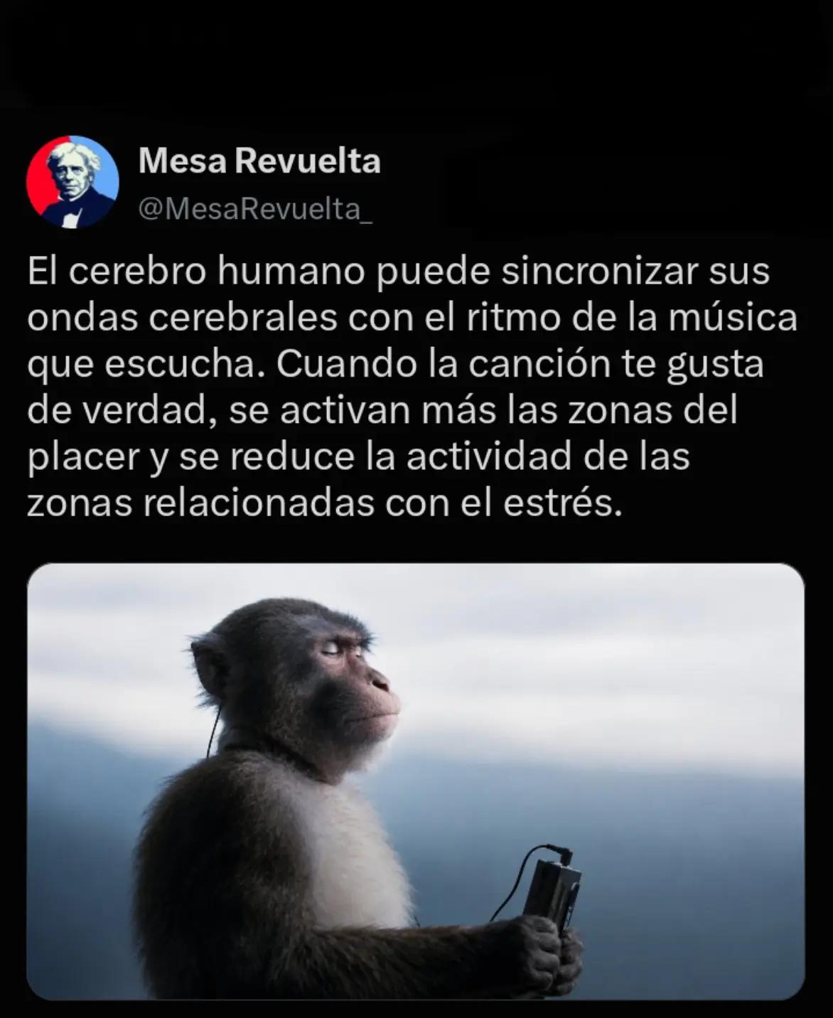 @Mesa Revuelta