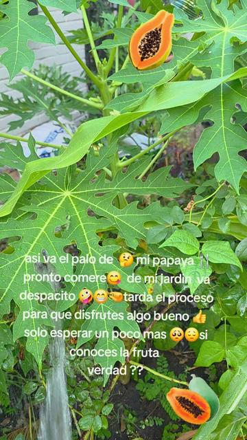 @chinita de 💖 mi vida 🥰