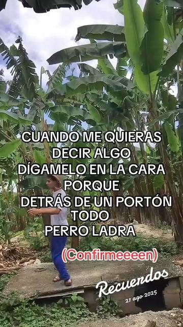 @@franyer_oficial