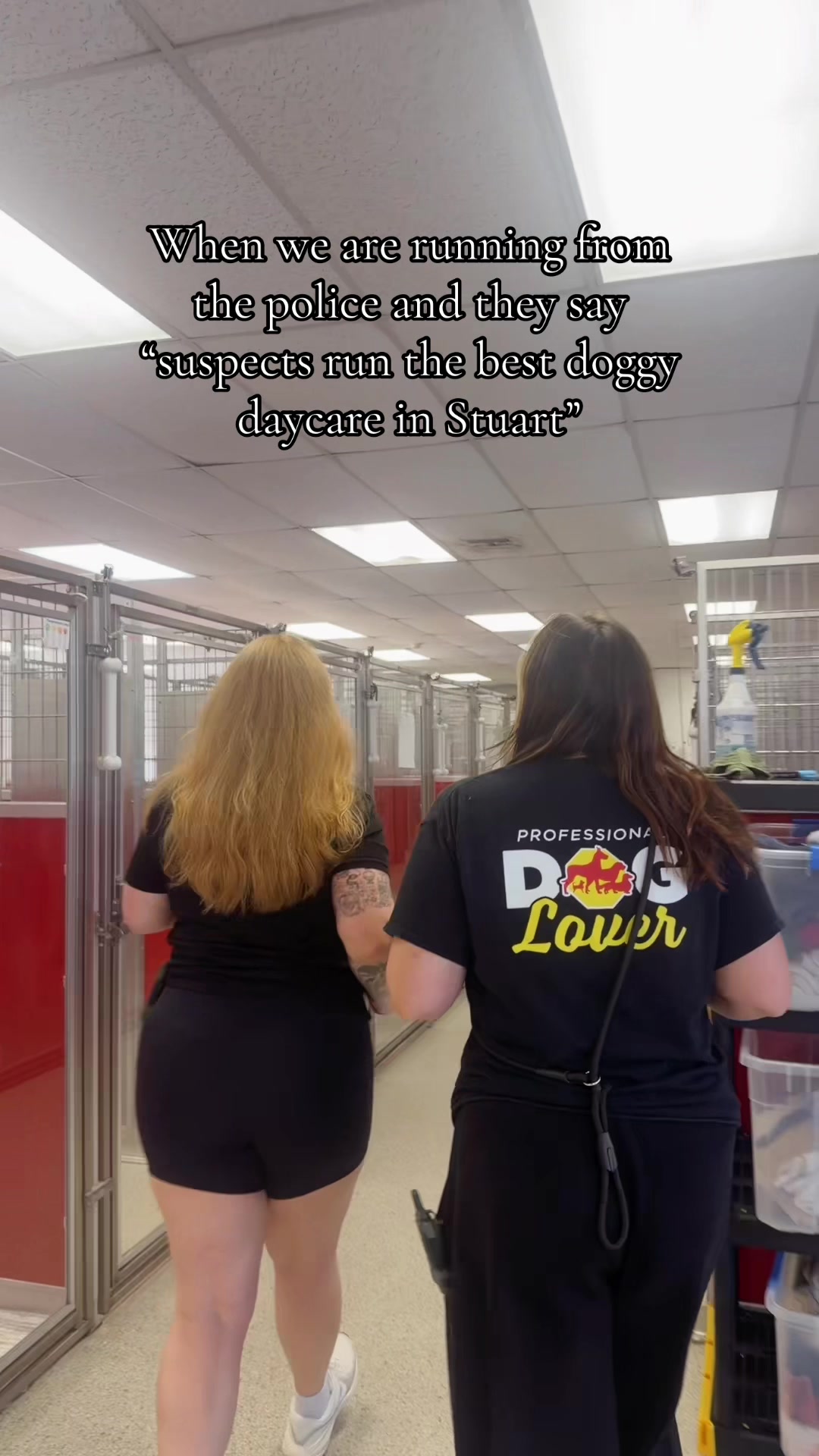 @Dog Stop🐶