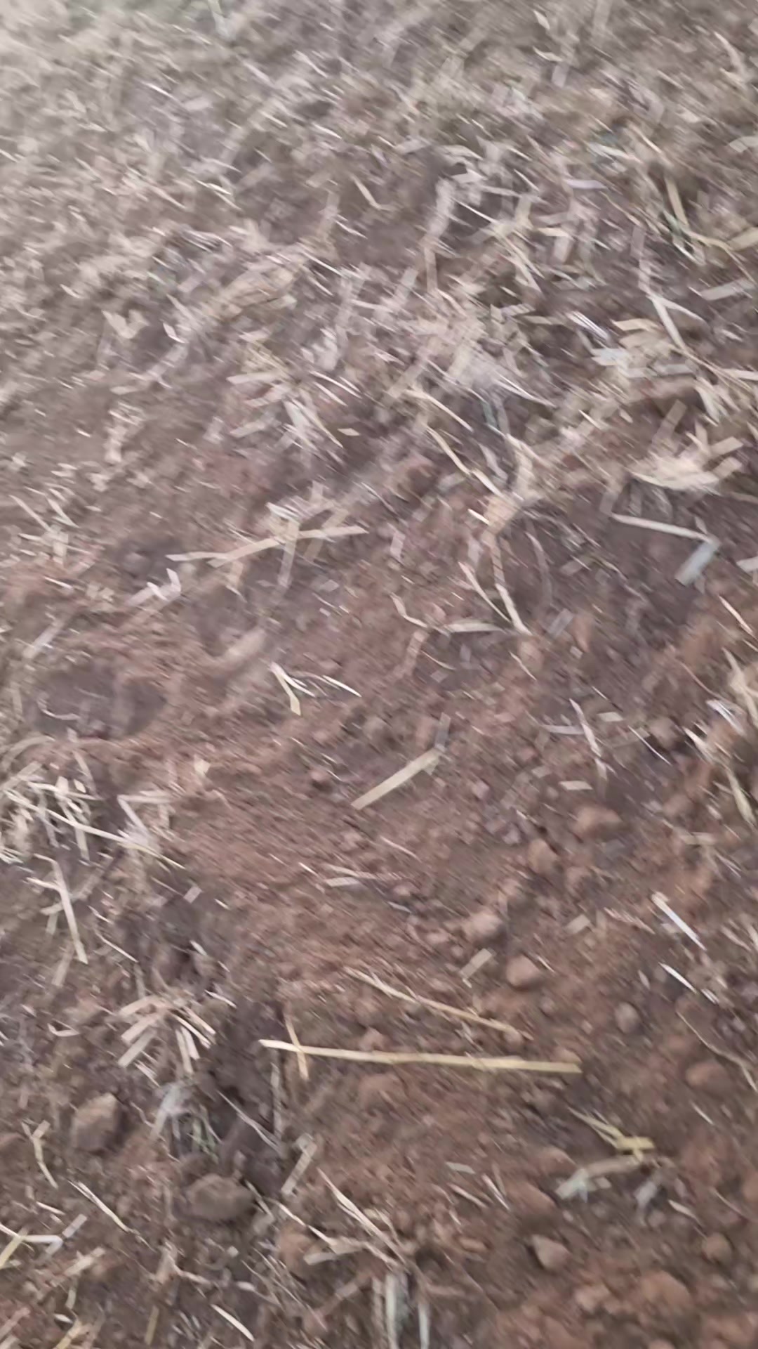 @Lantbruk &auml;r livet🚜🤠🌾