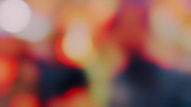@💥{🄰🄳🄸🄻__🅂🄰🄷🄸🄱}💥
