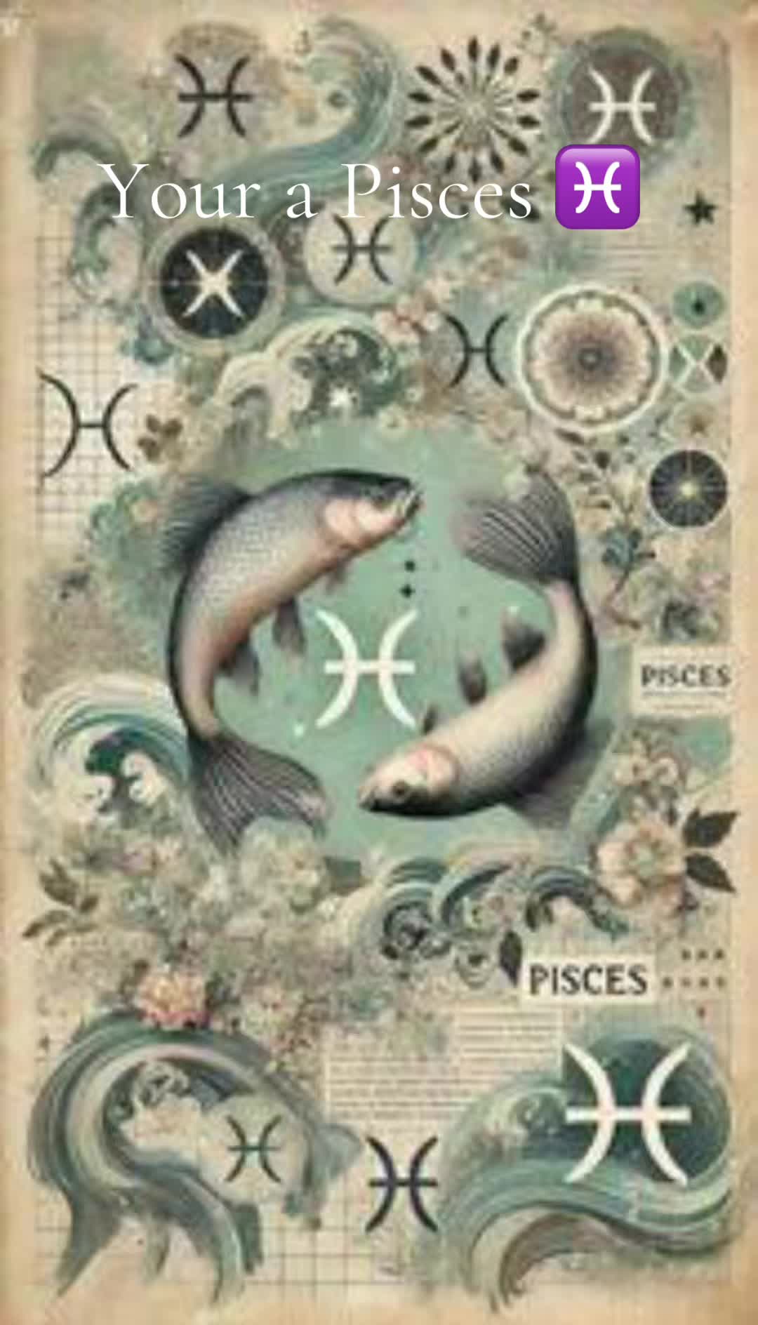 @𝓦𝓱𝓲𝓽𝓮-𝓹𝓪𝓷𝓽𝓱𝓮𝓻 🌚🌞