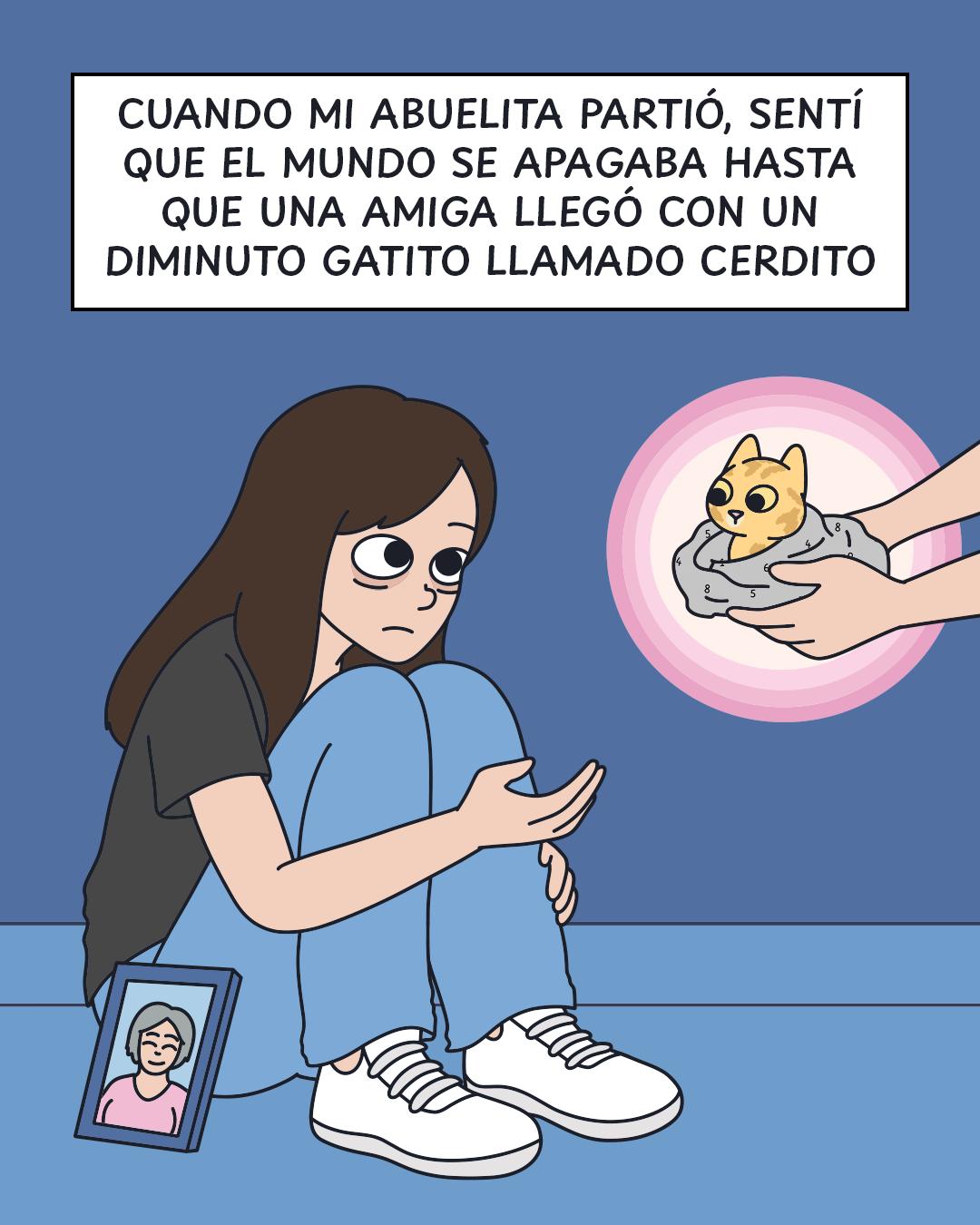 @Cosa de gatos