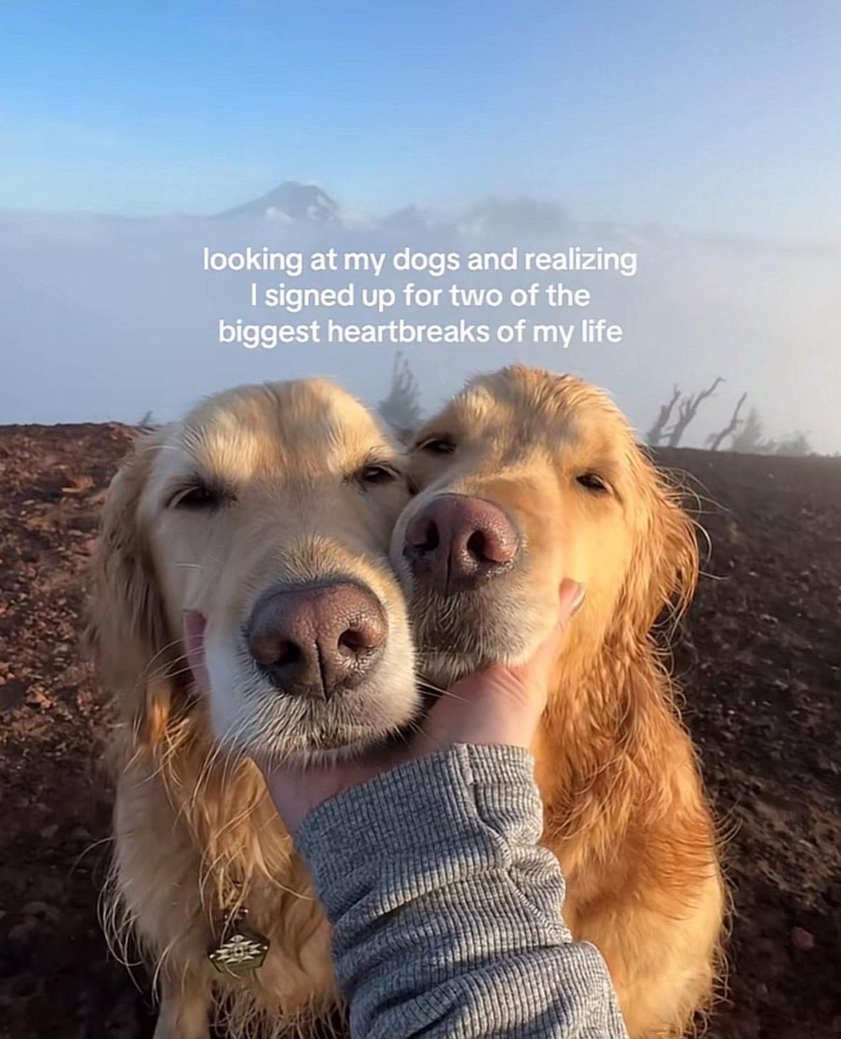 @💗𝒥ℯ𝓂𝒾𝓃𝒶💗